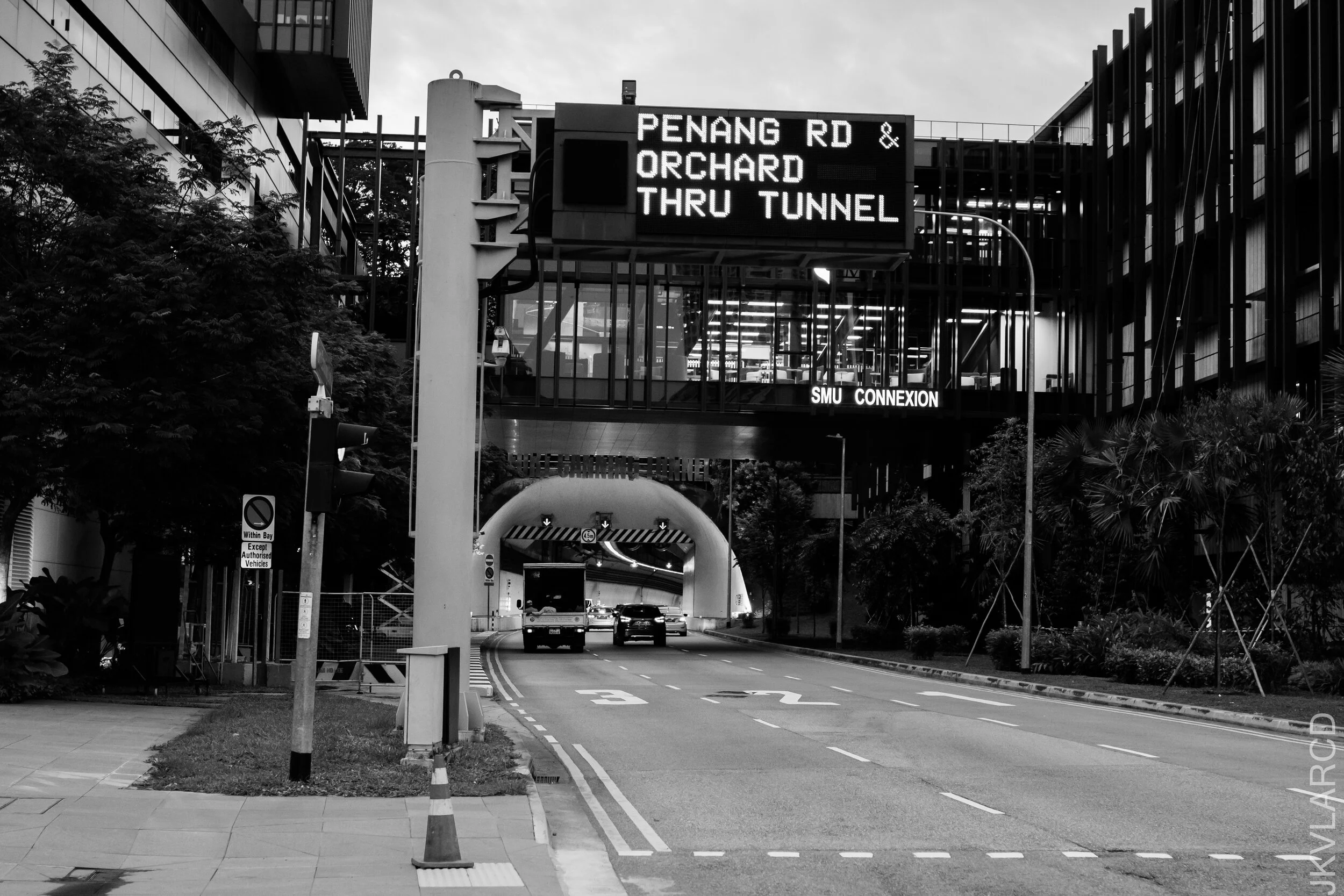 EOS 7D Mark II_2020_12_05_2705.jpg