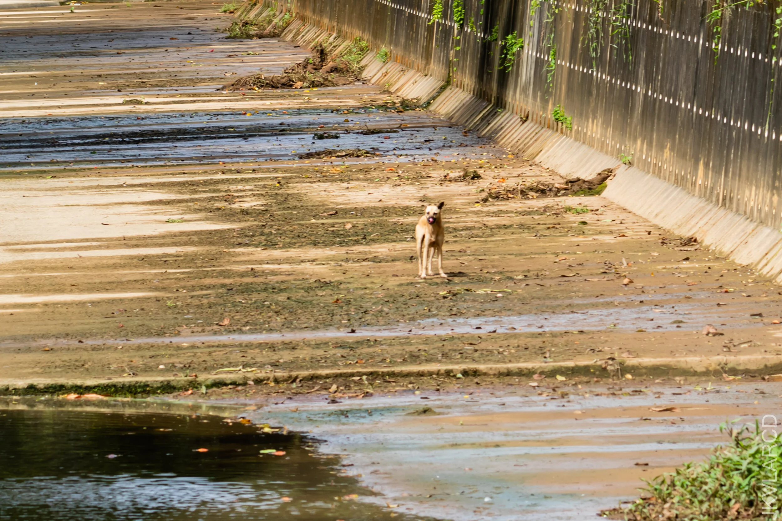 EOS 7D Mark II_2020_12_06_2970.jpg