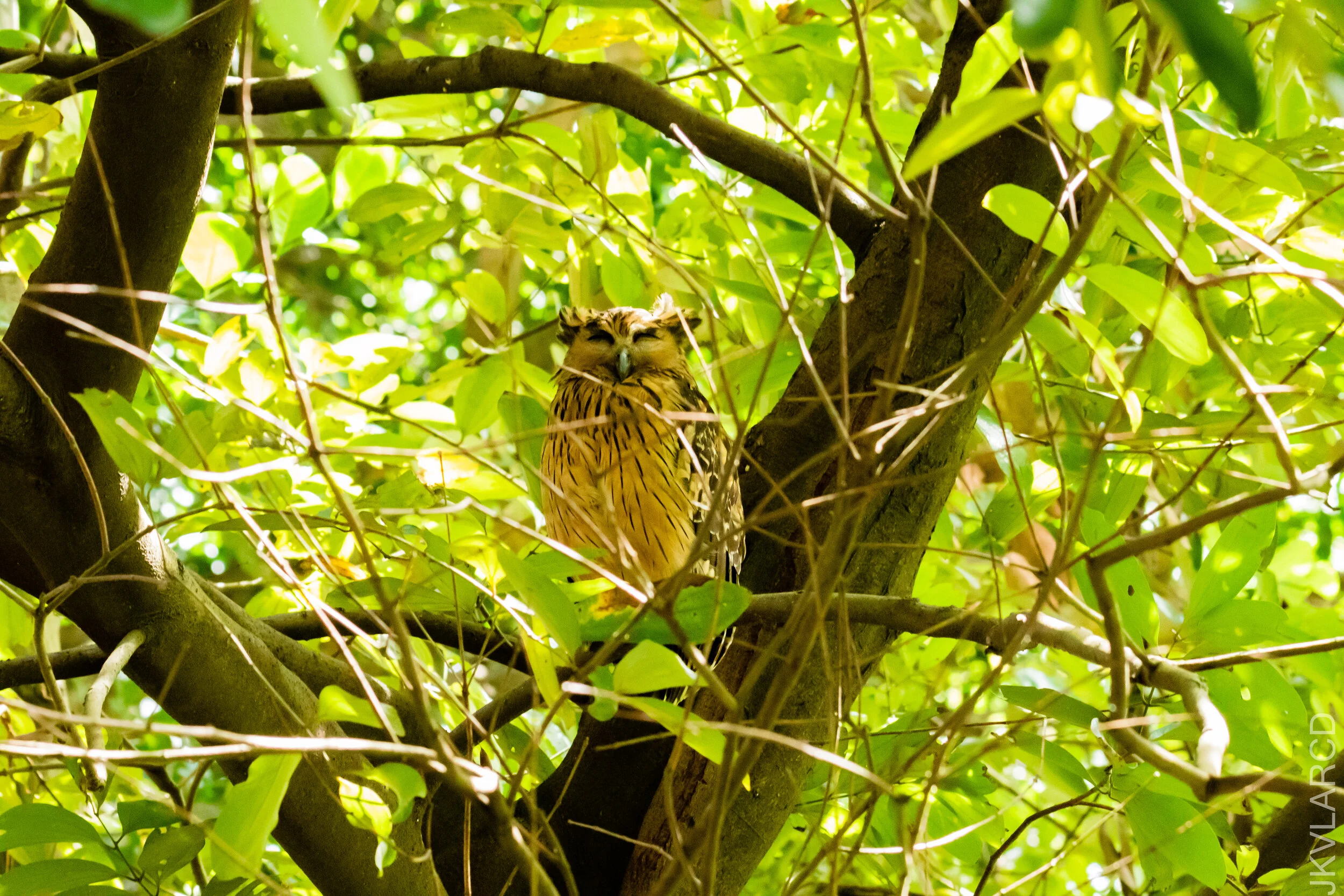 EOS 7D Mark II_2020_12_06_2996.jpg
