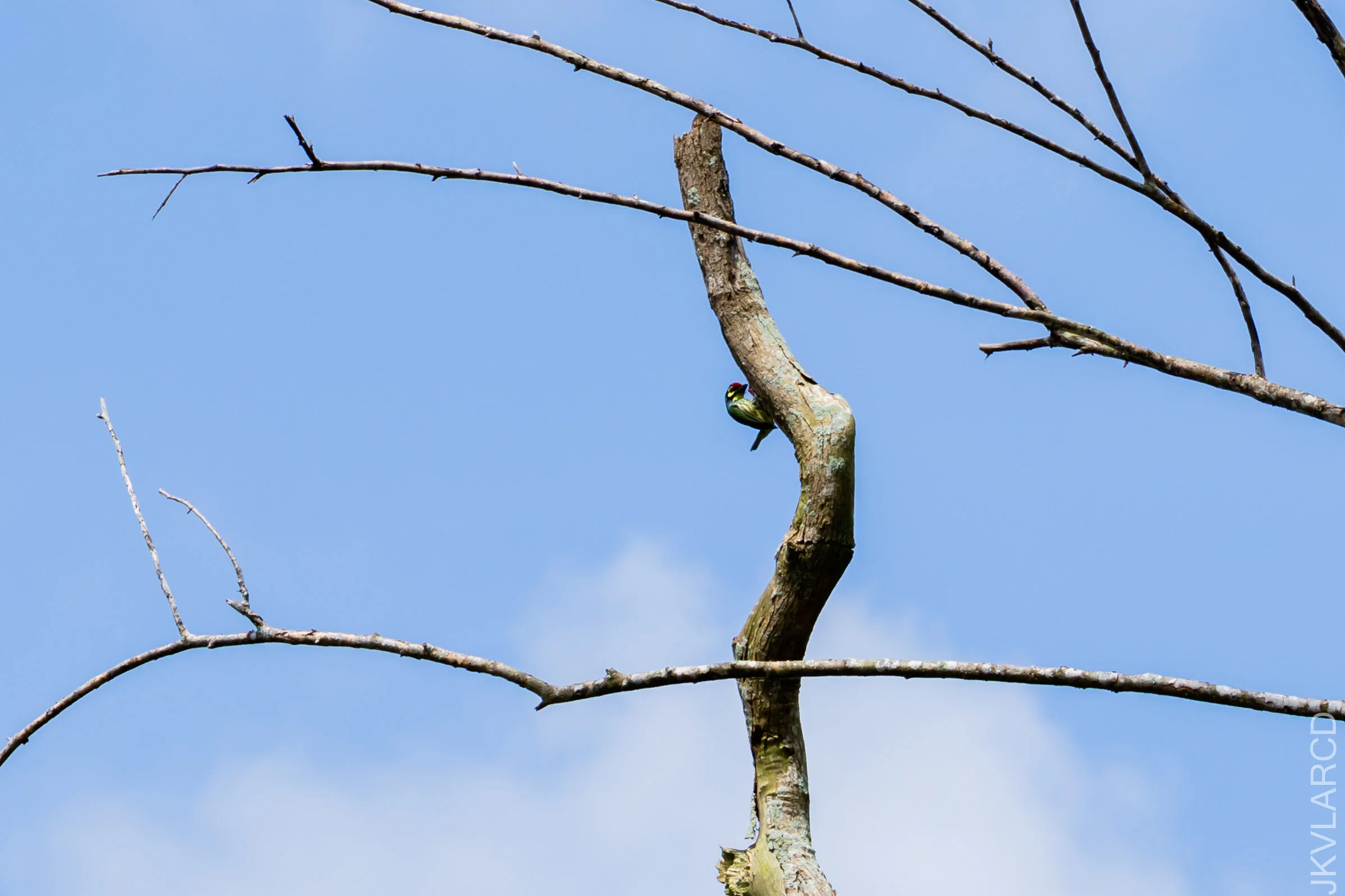 EOS 7D Mark II_2020_12_06_3044.jpg