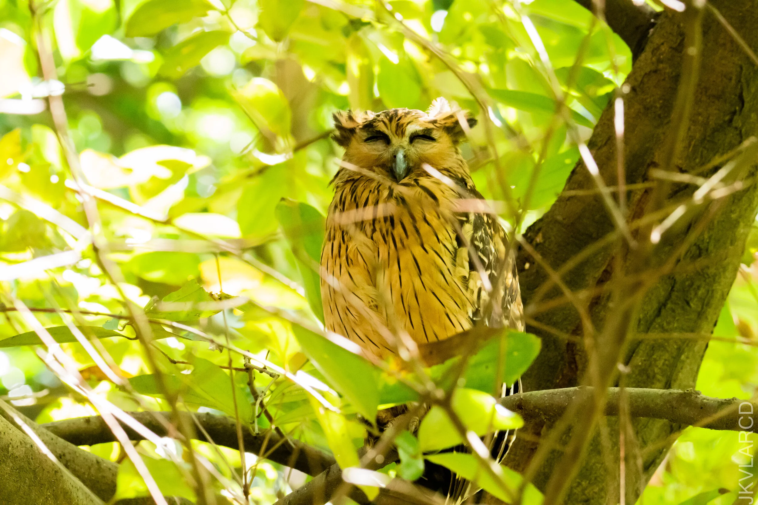 EOS 7D Mark II_2020_12_06_2998.jpg