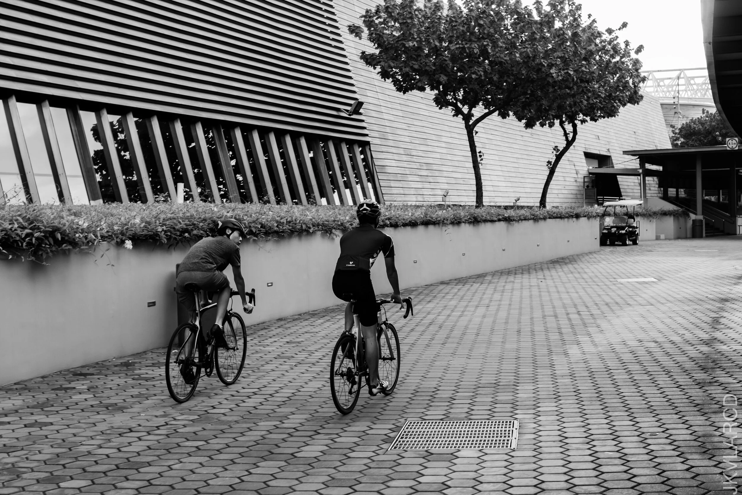 EOS 7D Mark II_2020_12_25_3145.jpg