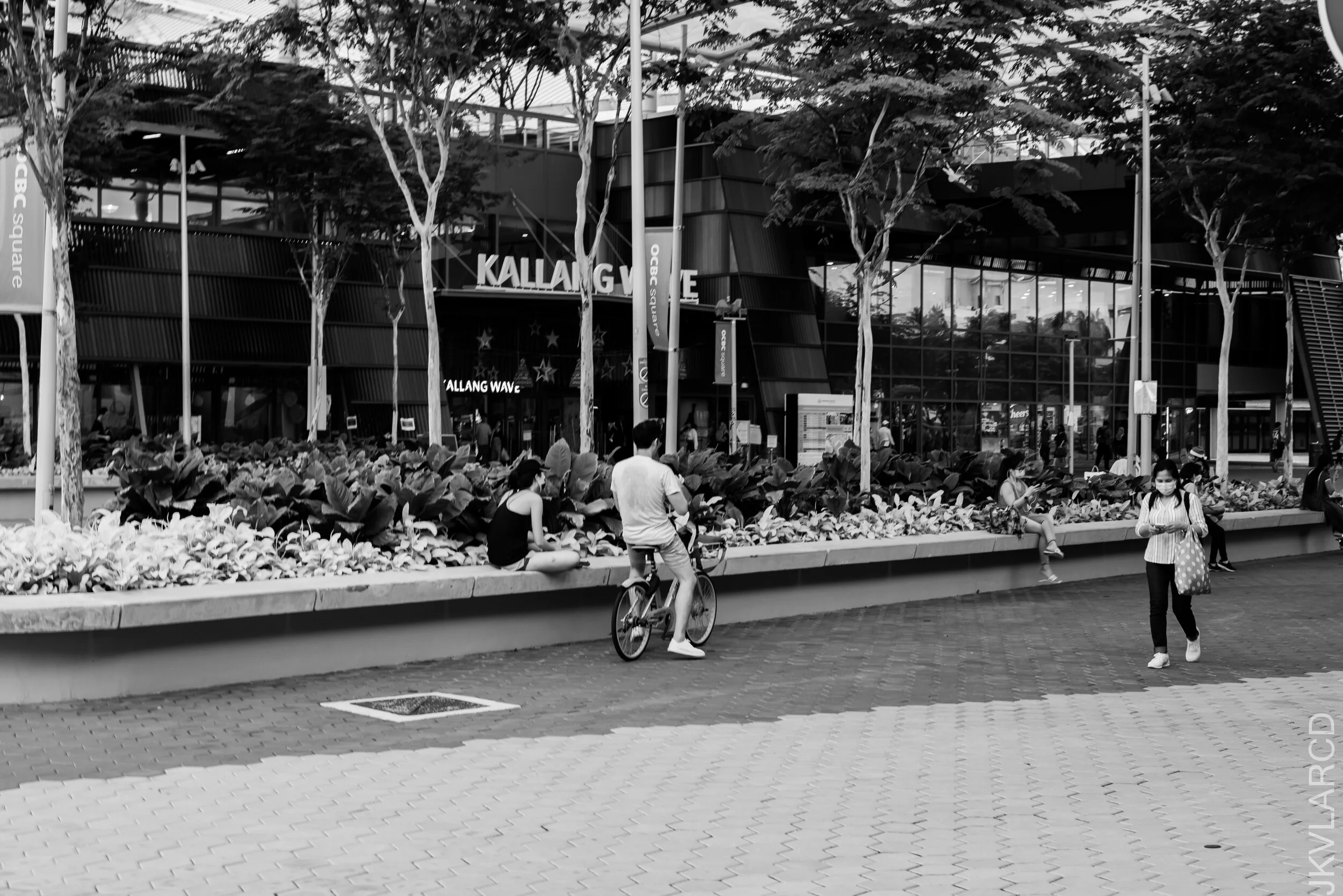 EOS 7D Mark II_2020_12_25_3162.jpg