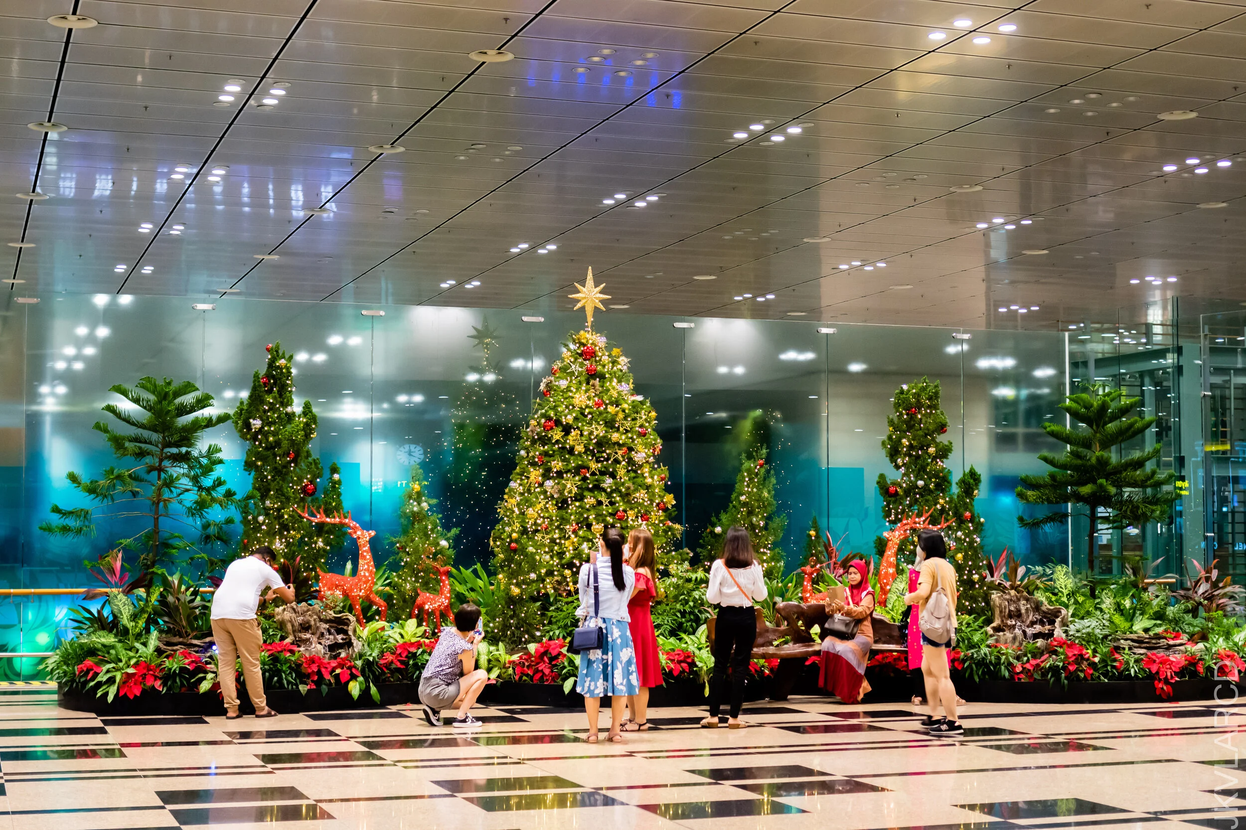 EOS 7D Mark II_2020_12_25_3163.jpg