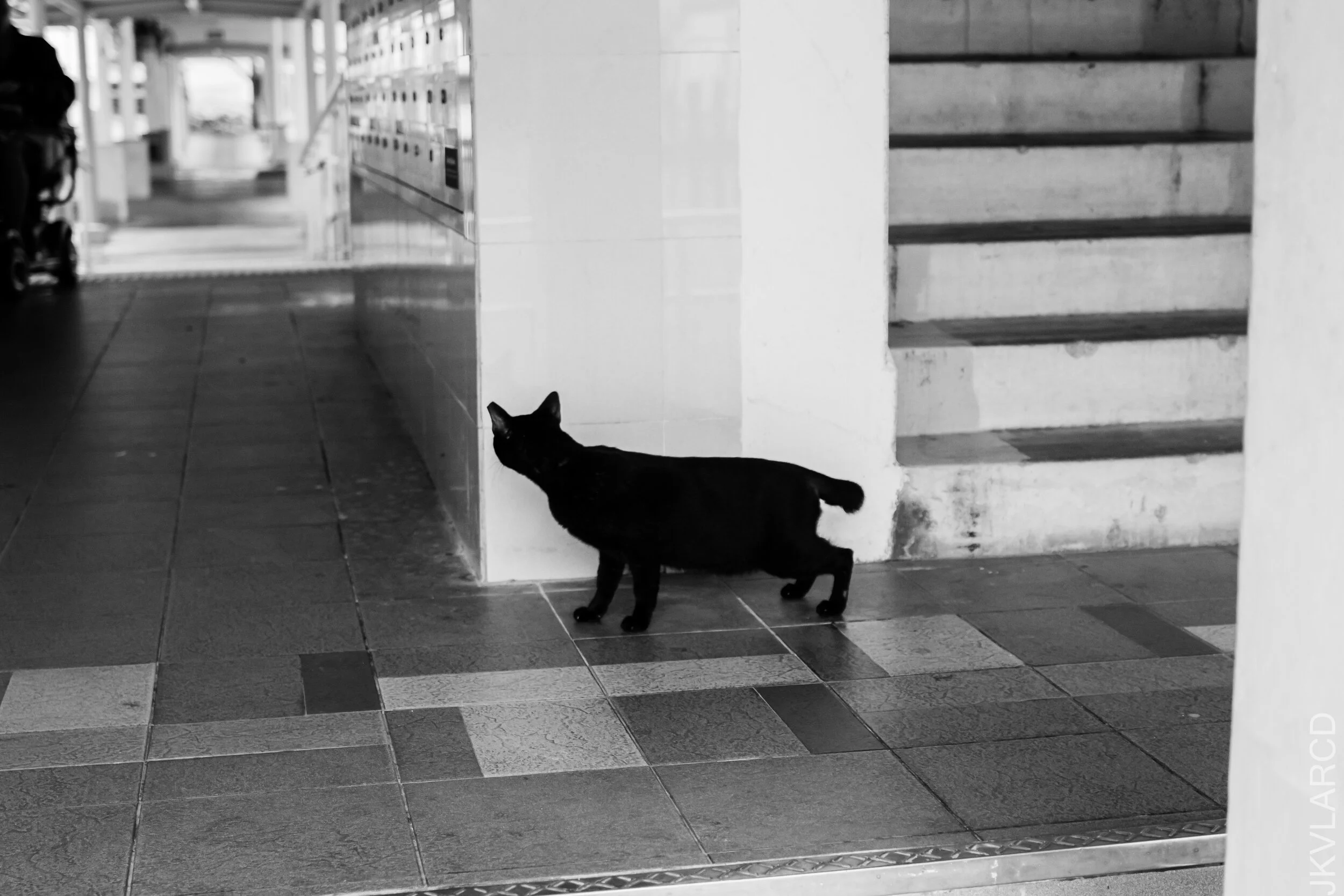 EOS 7D Mark II_2021_01_02_3175.jpg