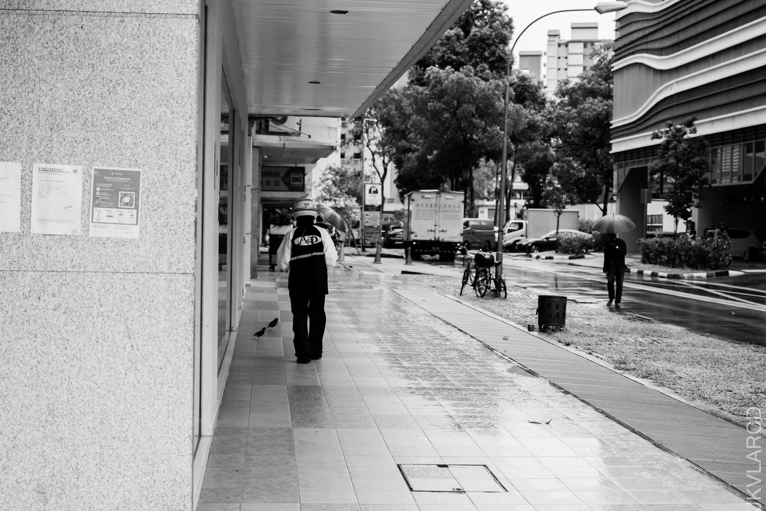 EOS 7D Mark II_2021_01_02_3180.jpg