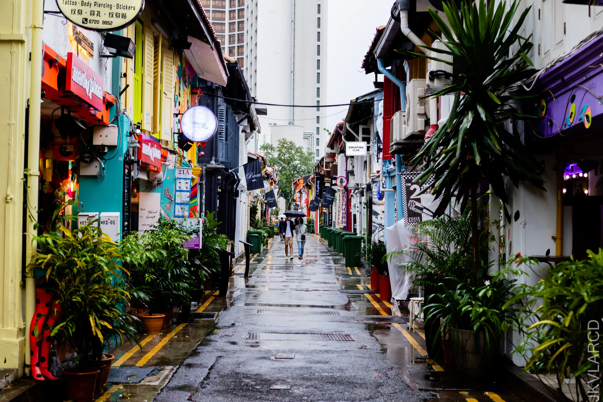 EOS 7D Mark II_2021_01_02_3191.jpg