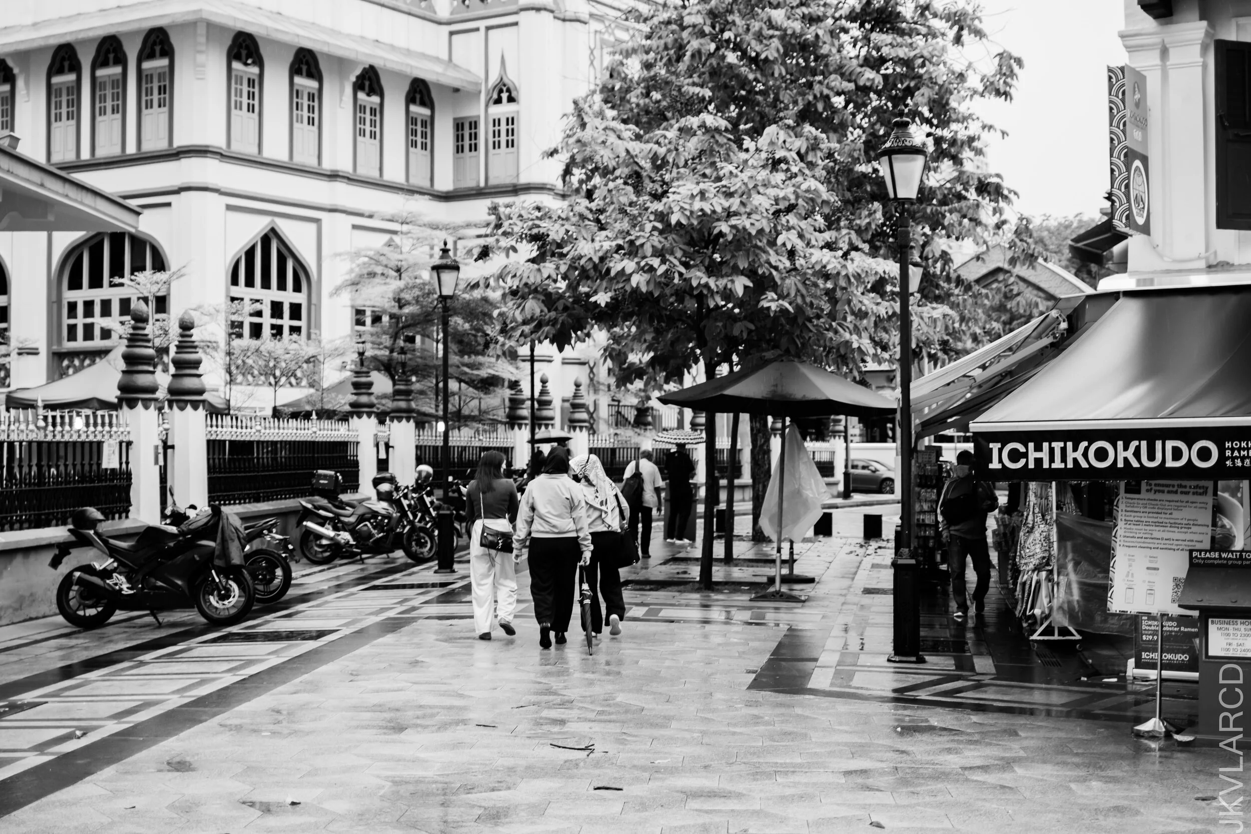 EOS 7D Mark II_2021_01_02_3196.jpg