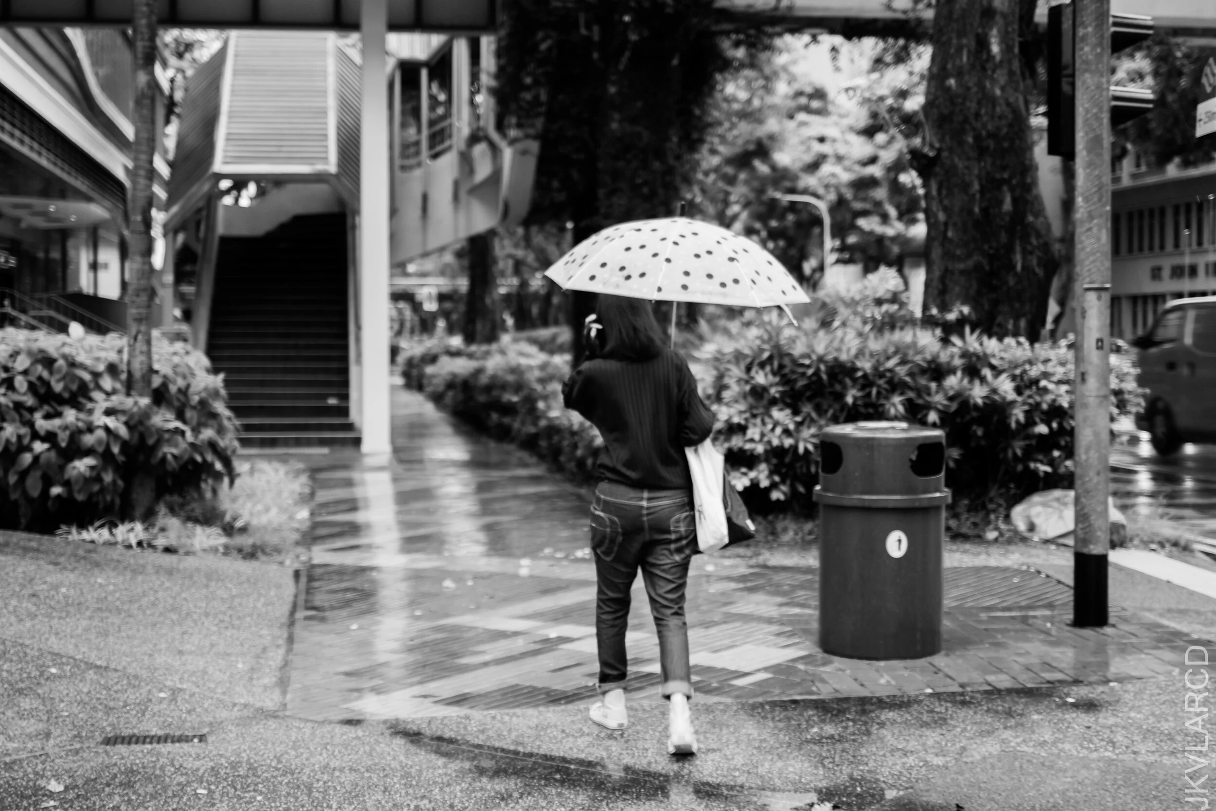 EOS 7D Mark II_2021_01_02_3204.jpg