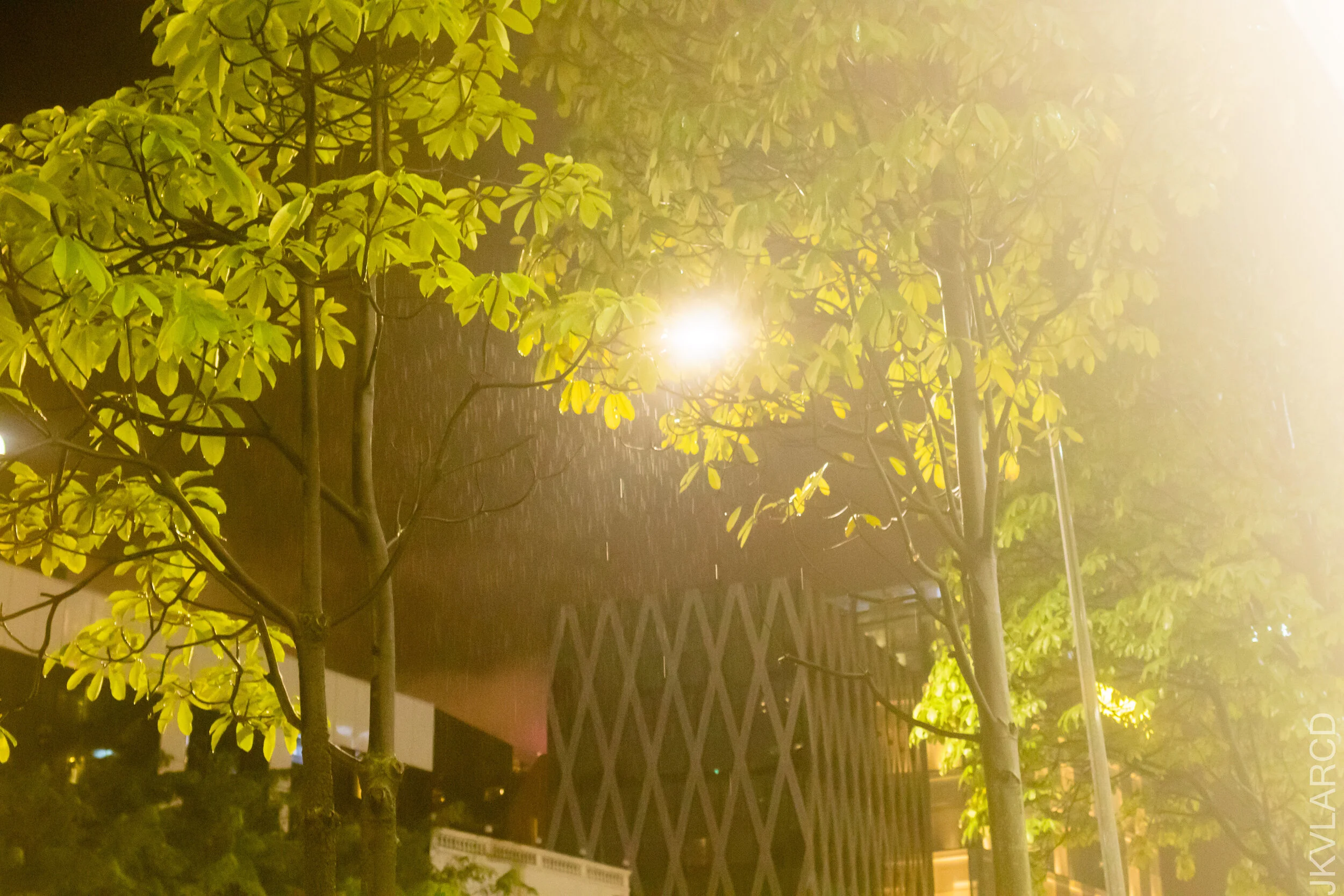 EOS 7D Mark II_2021_01_09_3223.jpg