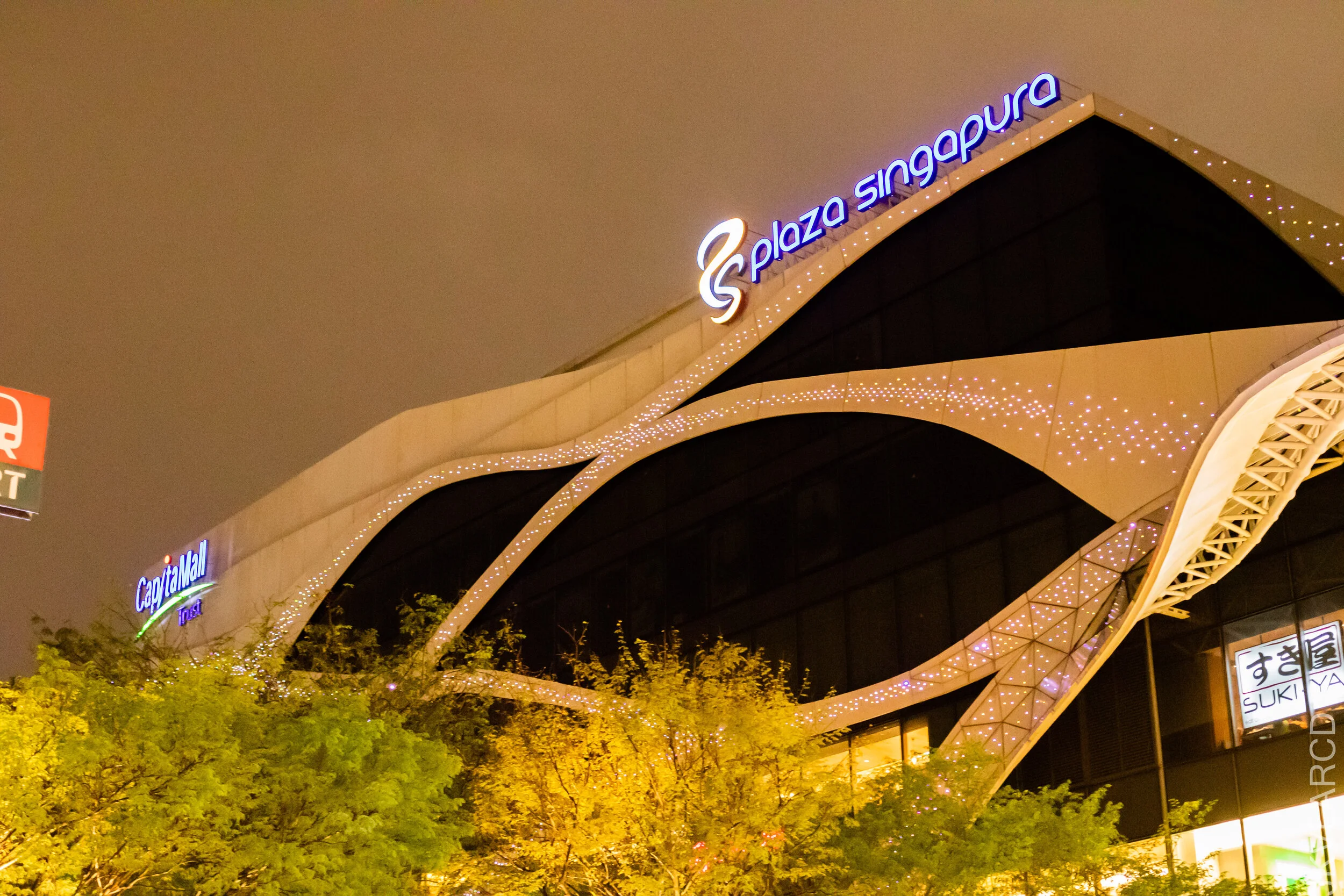 EOS 7D Mark II_2021_01_09_3231.jpg