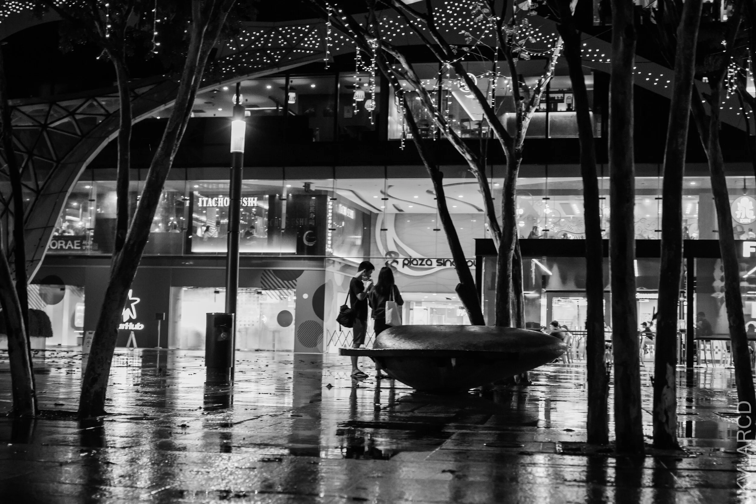 EOS 7D Mark II_2021_01_09_3234.jpg