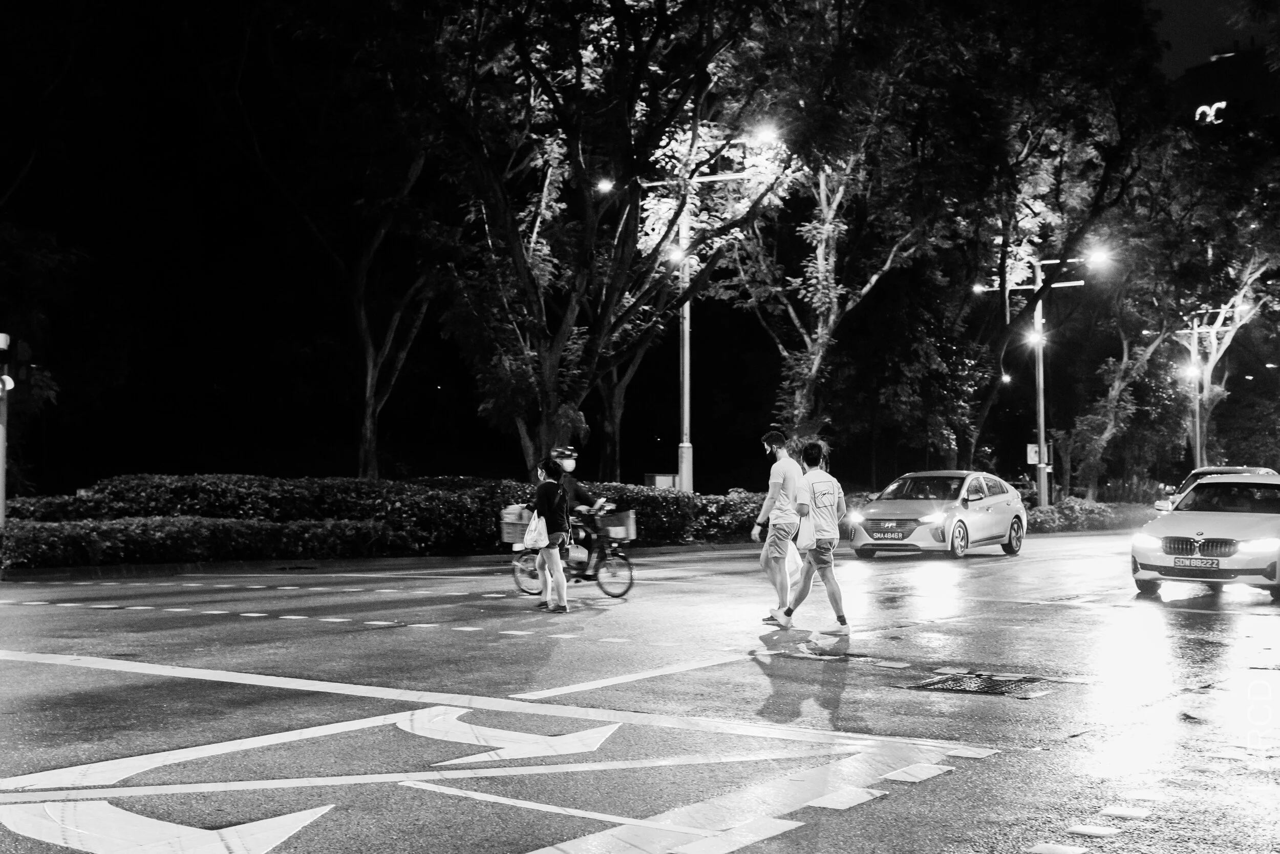 EOS 7D Mark II_2021_01_09_3235.jpg