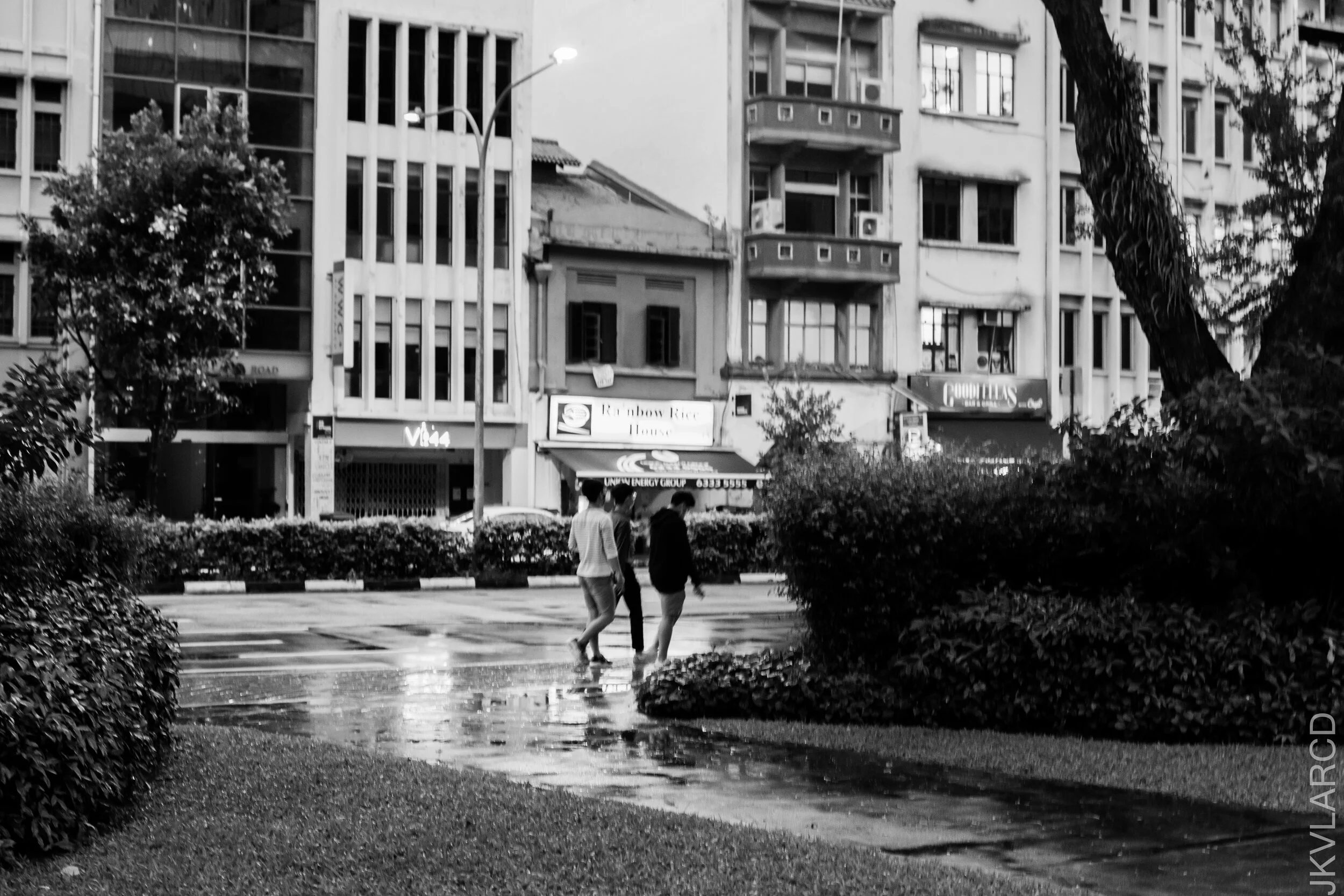 EOS 7D Mark II_2021_01_23_3397.jpg