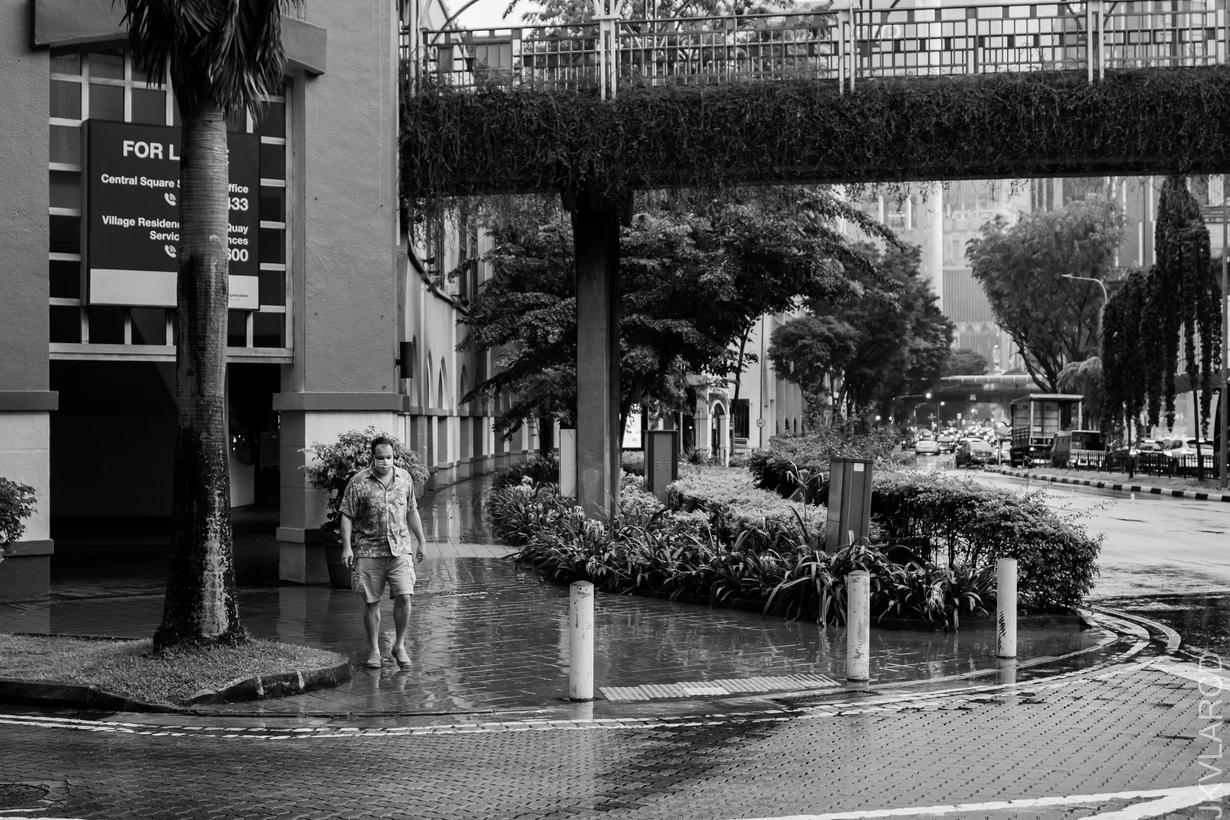 EOS 7D Mark II_2021_01_23_3304.jpg