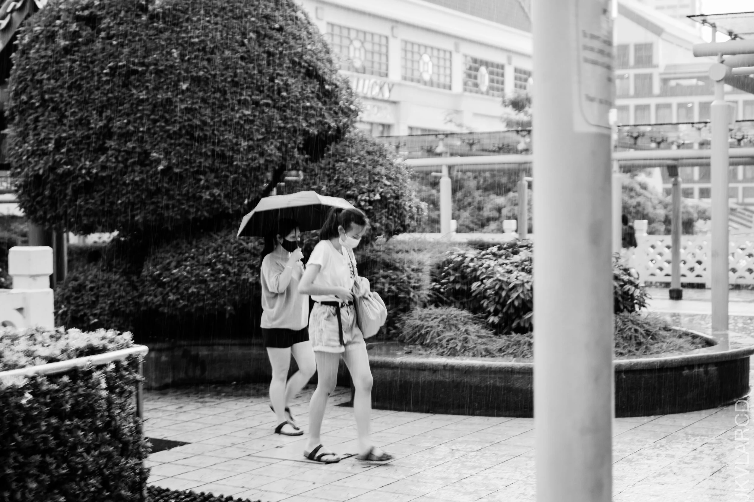 EOS 7D Mark II_2021_01_23_3341.jpg