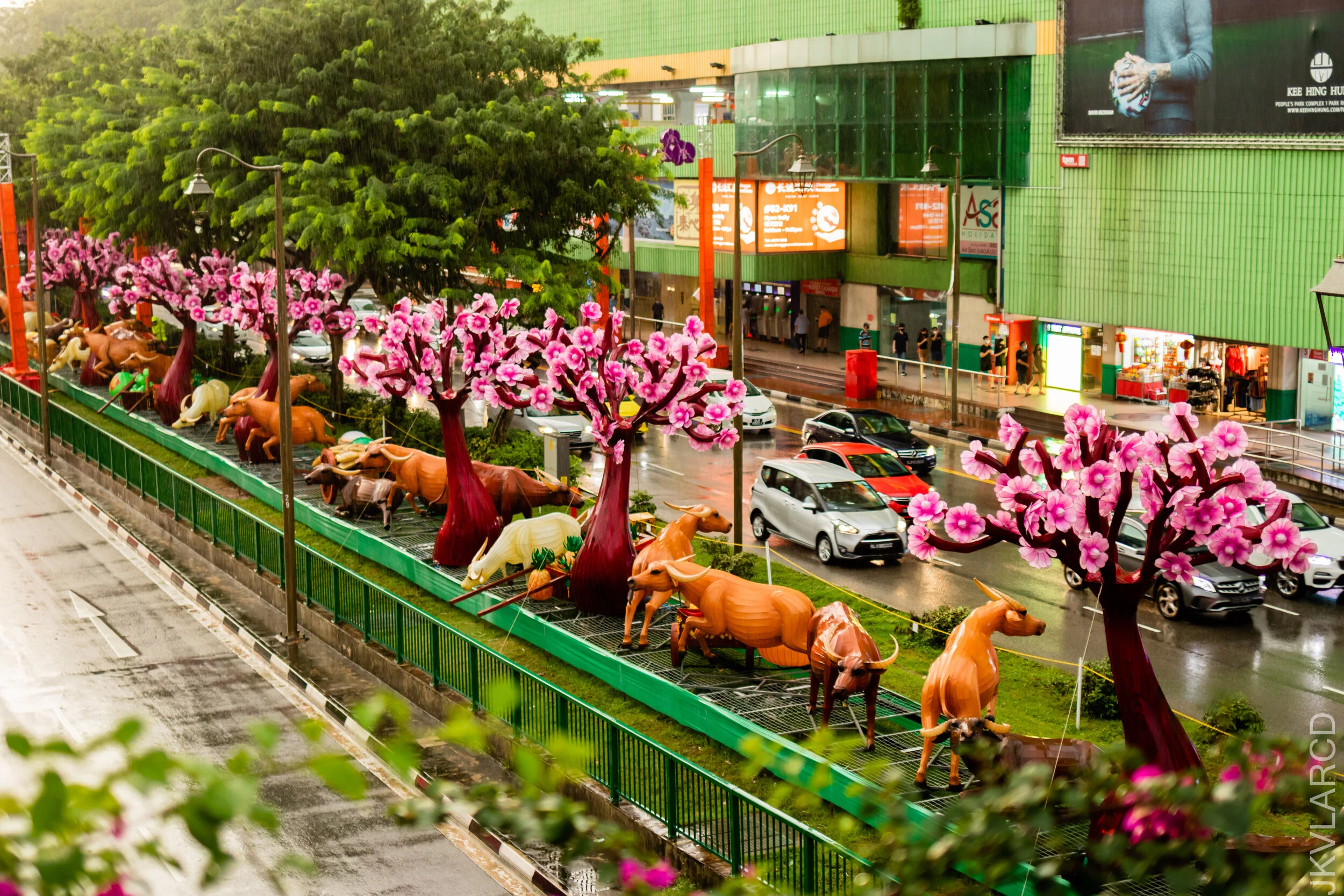 EOS 7D Mark II_2021_01_23_3343.jpg