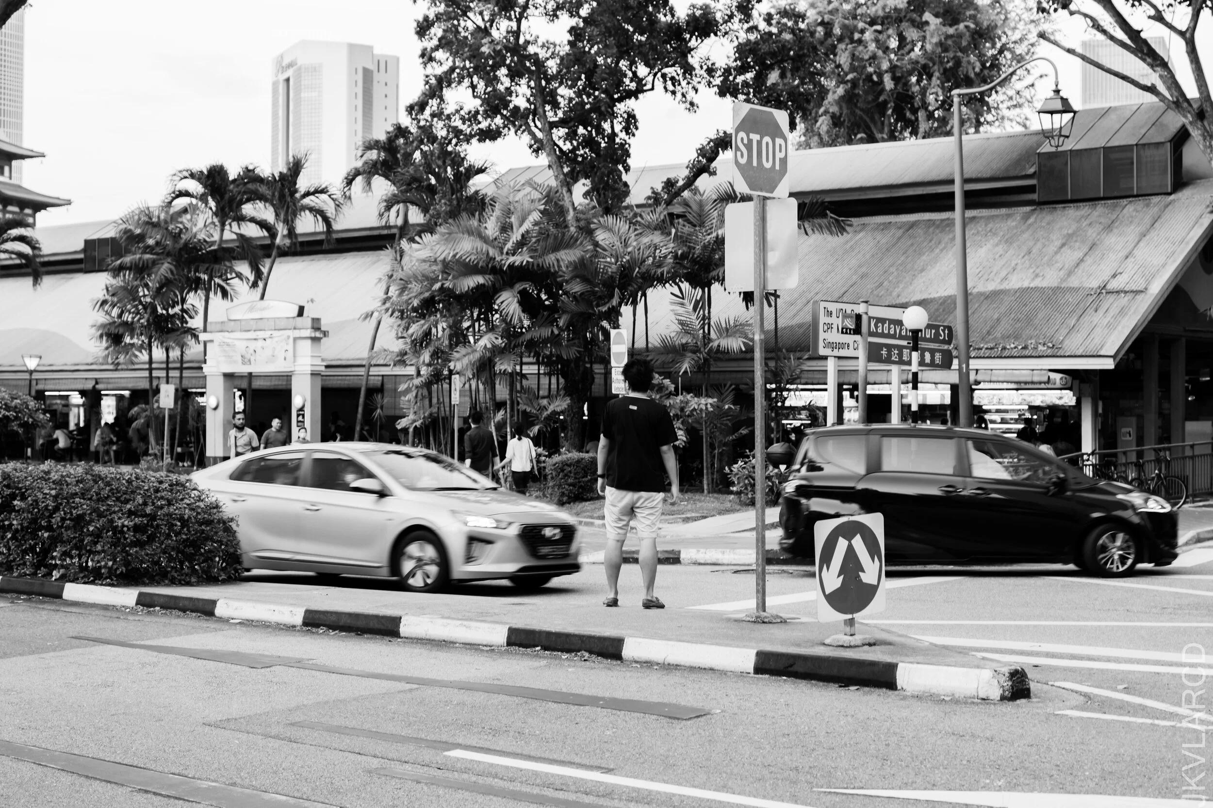 EOS 7D Mark II_2021_01_30_3477.jpg