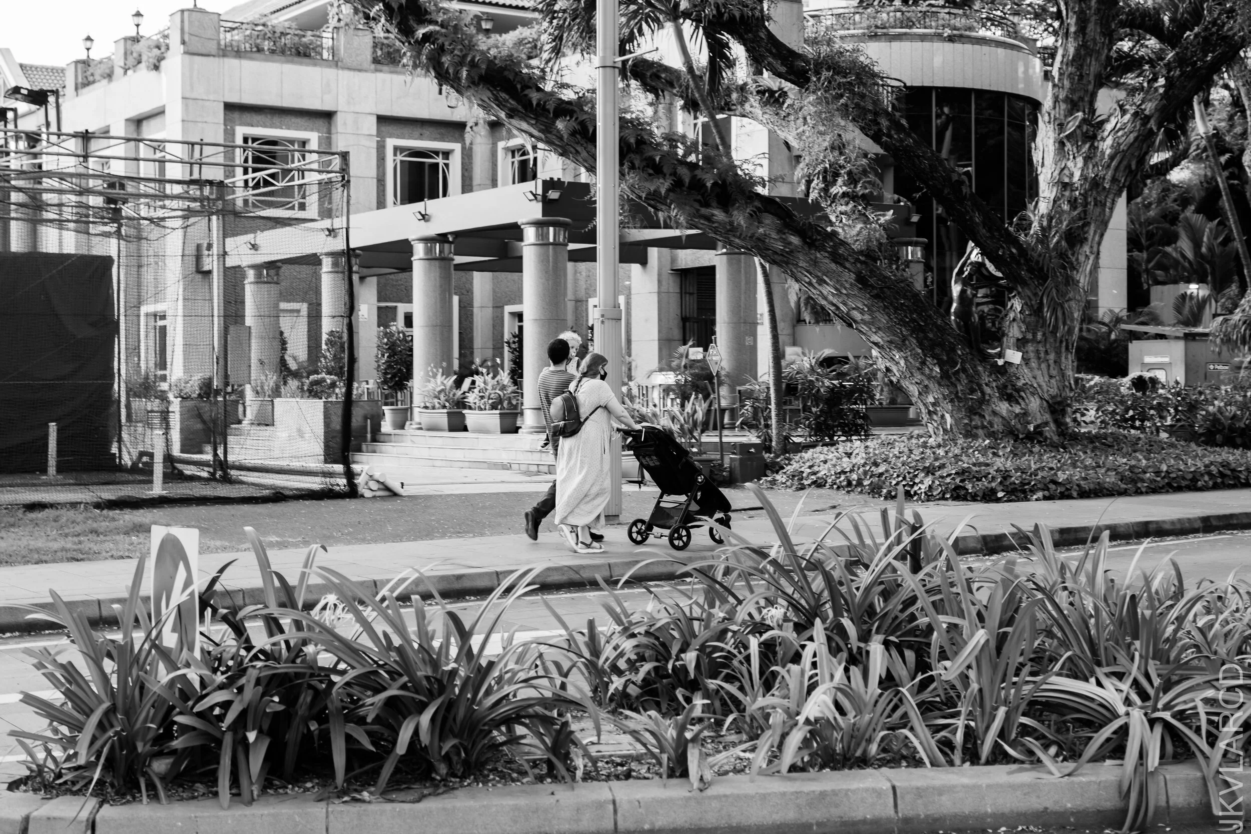 EOS 7D Mark II_2021_02_06_3564.jpg