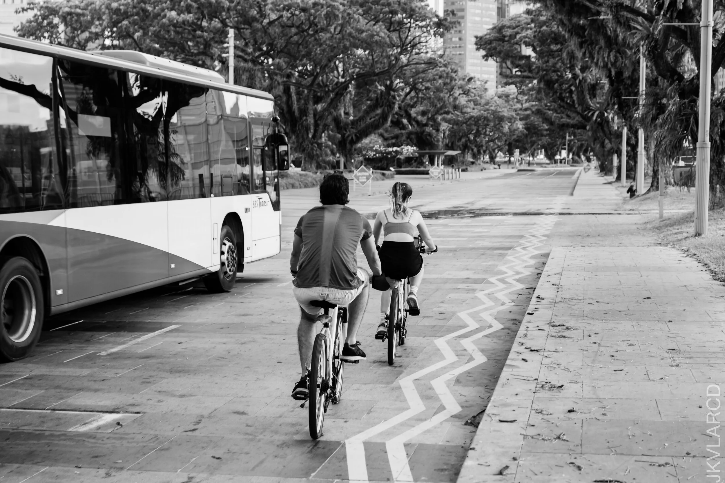 EOS 7D Mark II_2021_02_06_3567.jpg