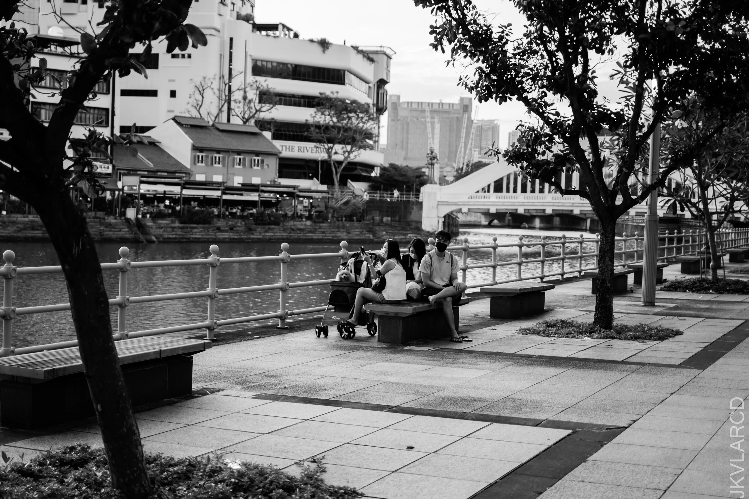 EOS 7D Mark II_2021_02_06_3602.jpg