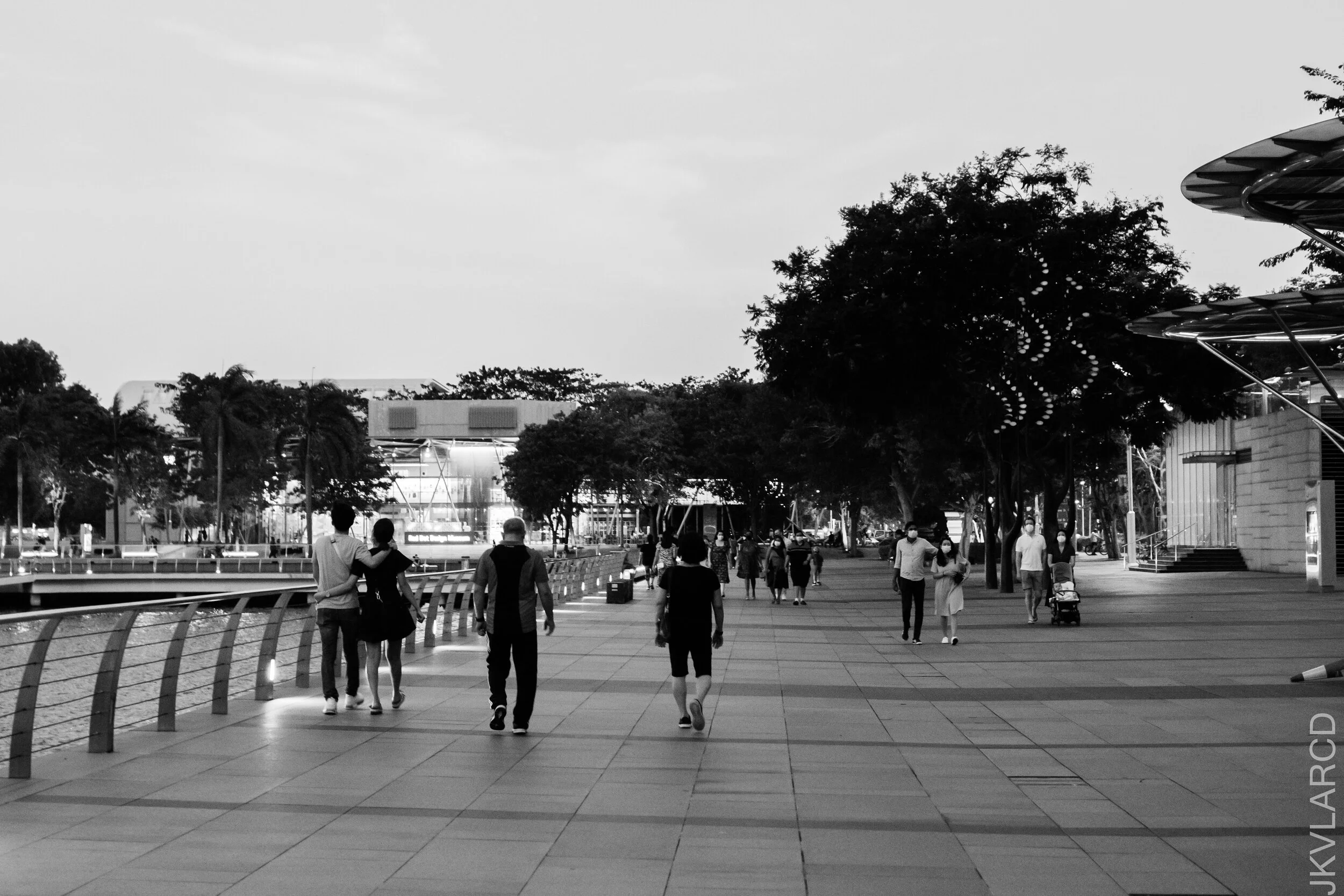 EOS 7D Mark II_2021_02_06_3647.jpg