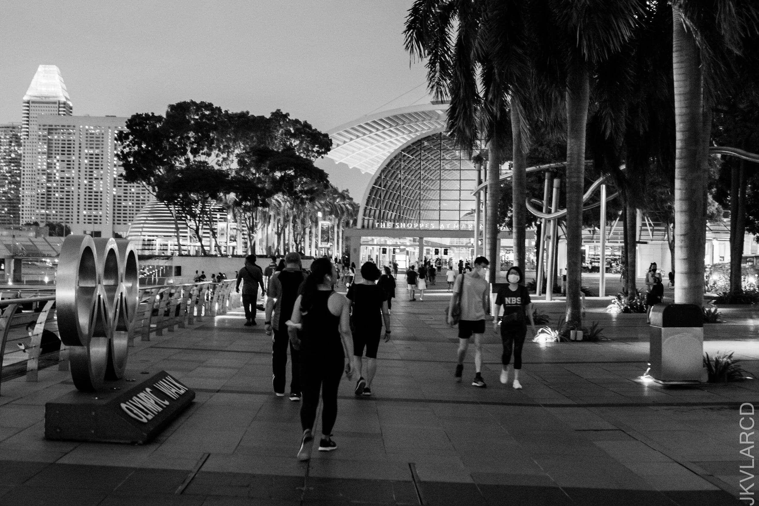 EOS 7D Mark II_2021_02_06_3655.jpg