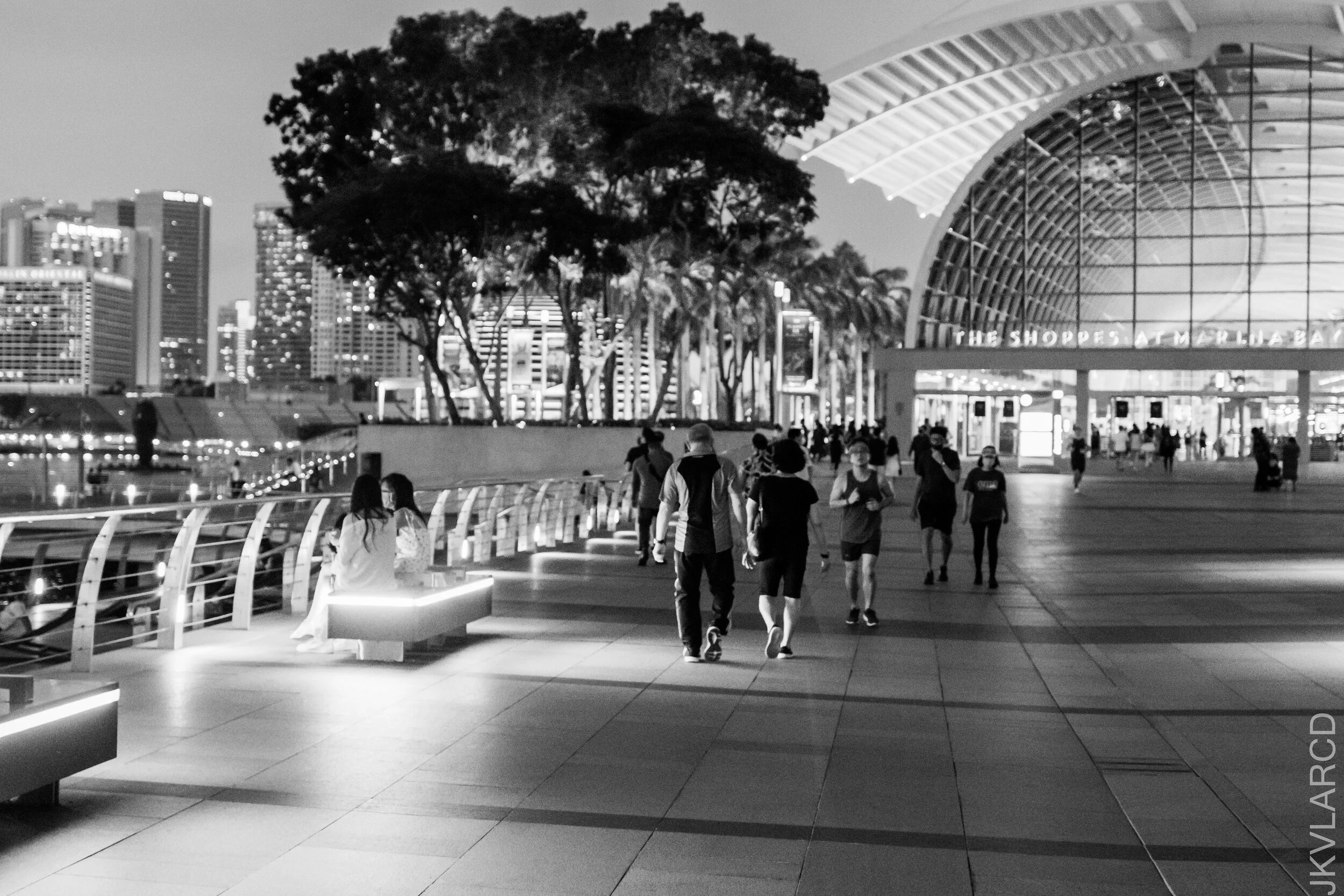 EOS 7D Mark II_2021_02_06_3656.jpg