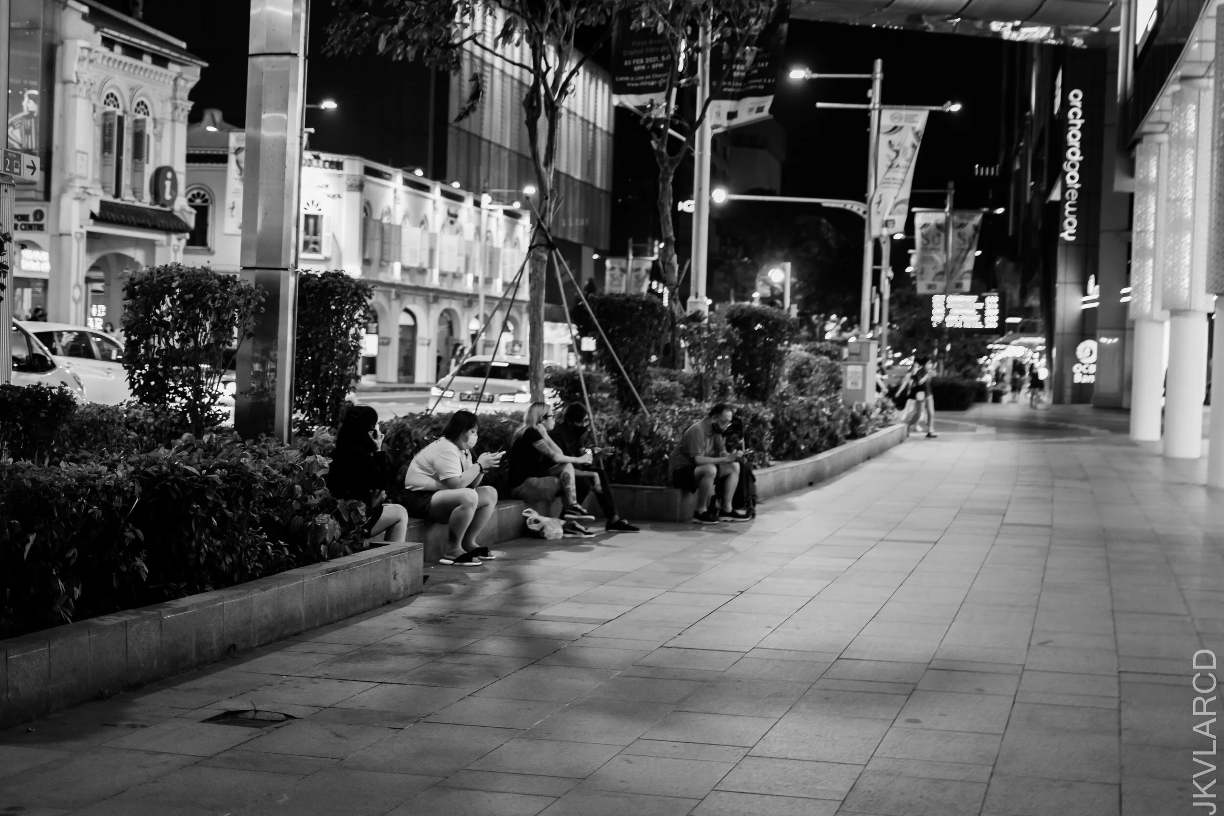 EOS 7D Mark II_2021_02_20_3743.jpg