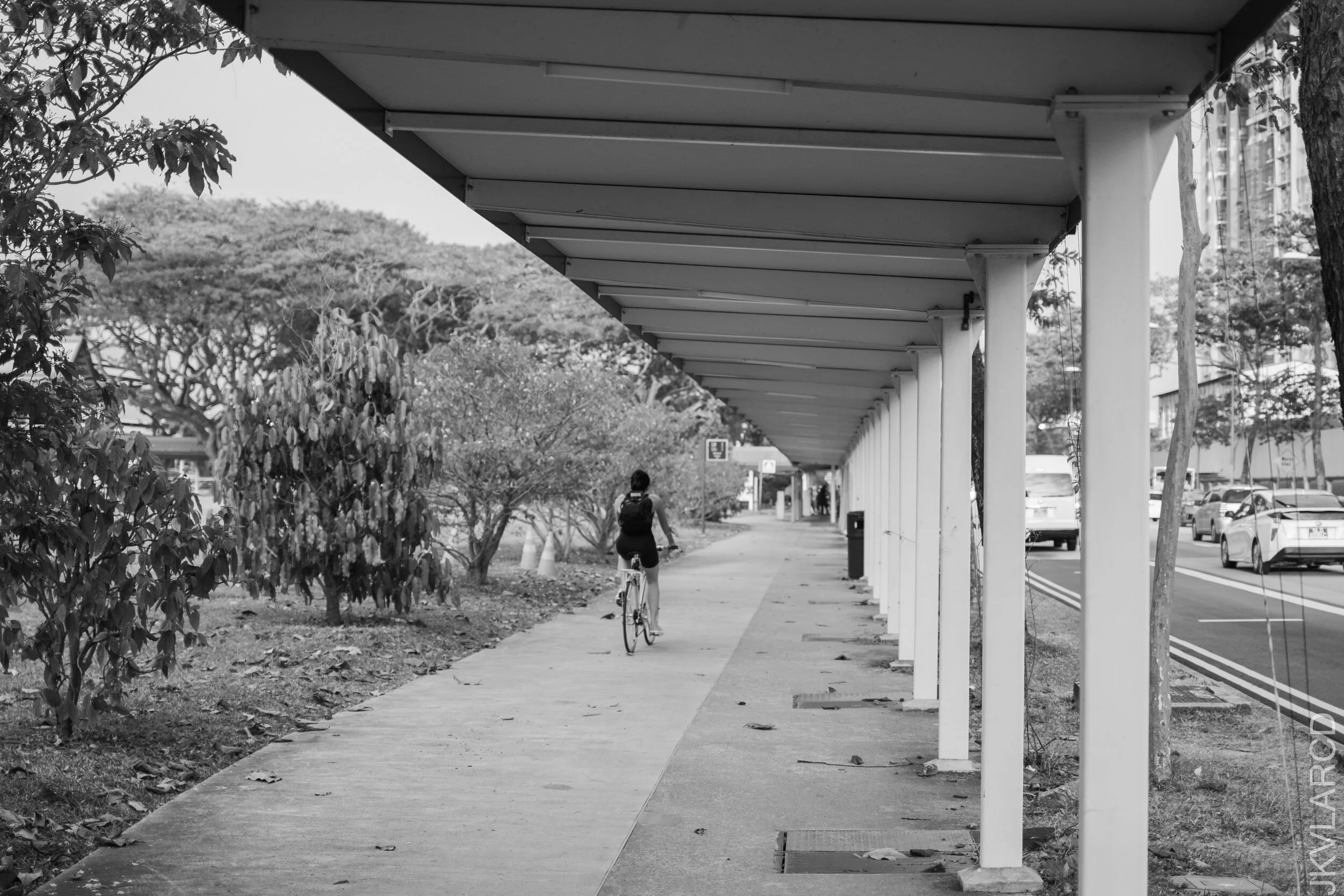 EOS 7D Mark II_2021_02_27_3762.jpg