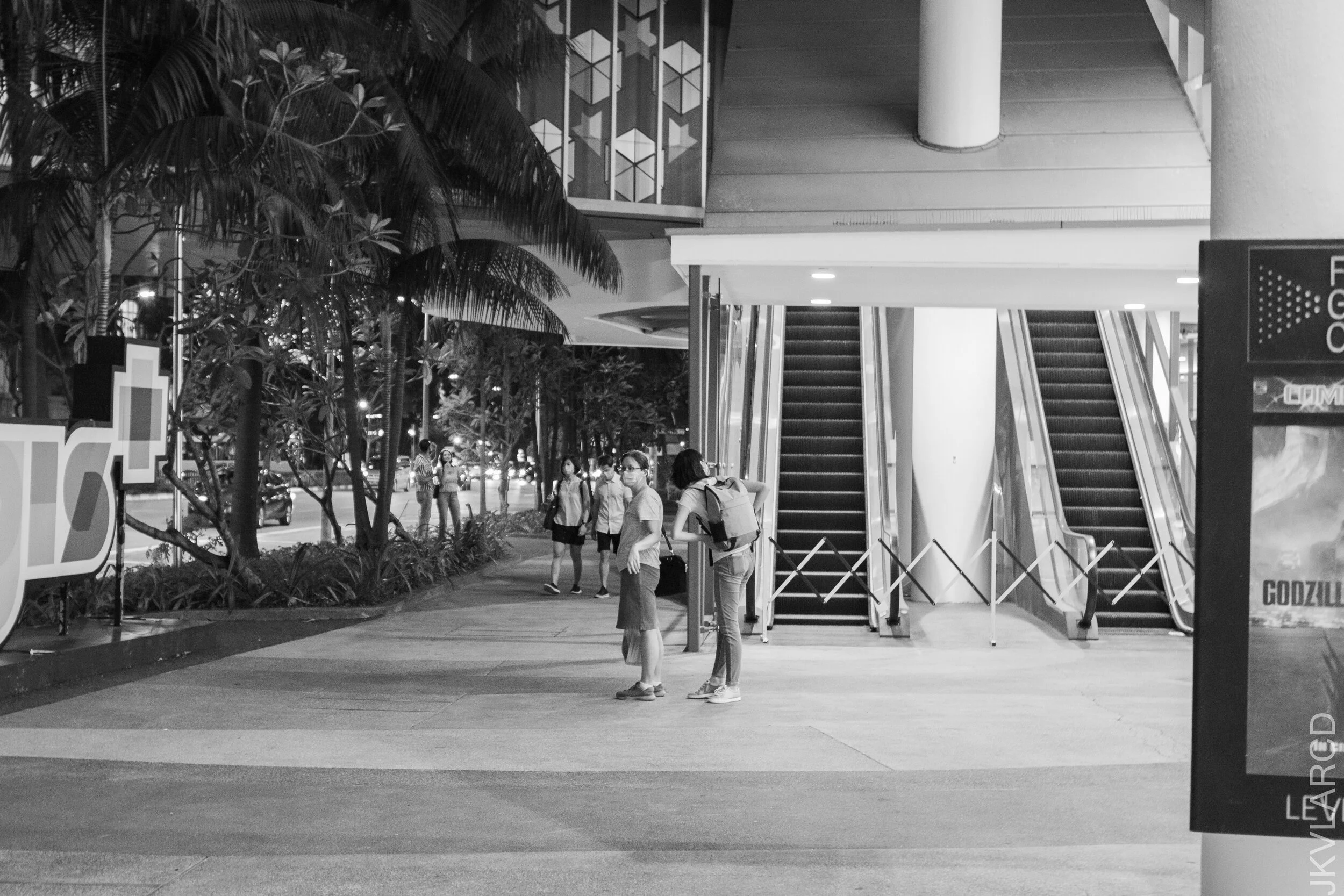 EOS 7D Mark II_2021_03_06_3907.jpg