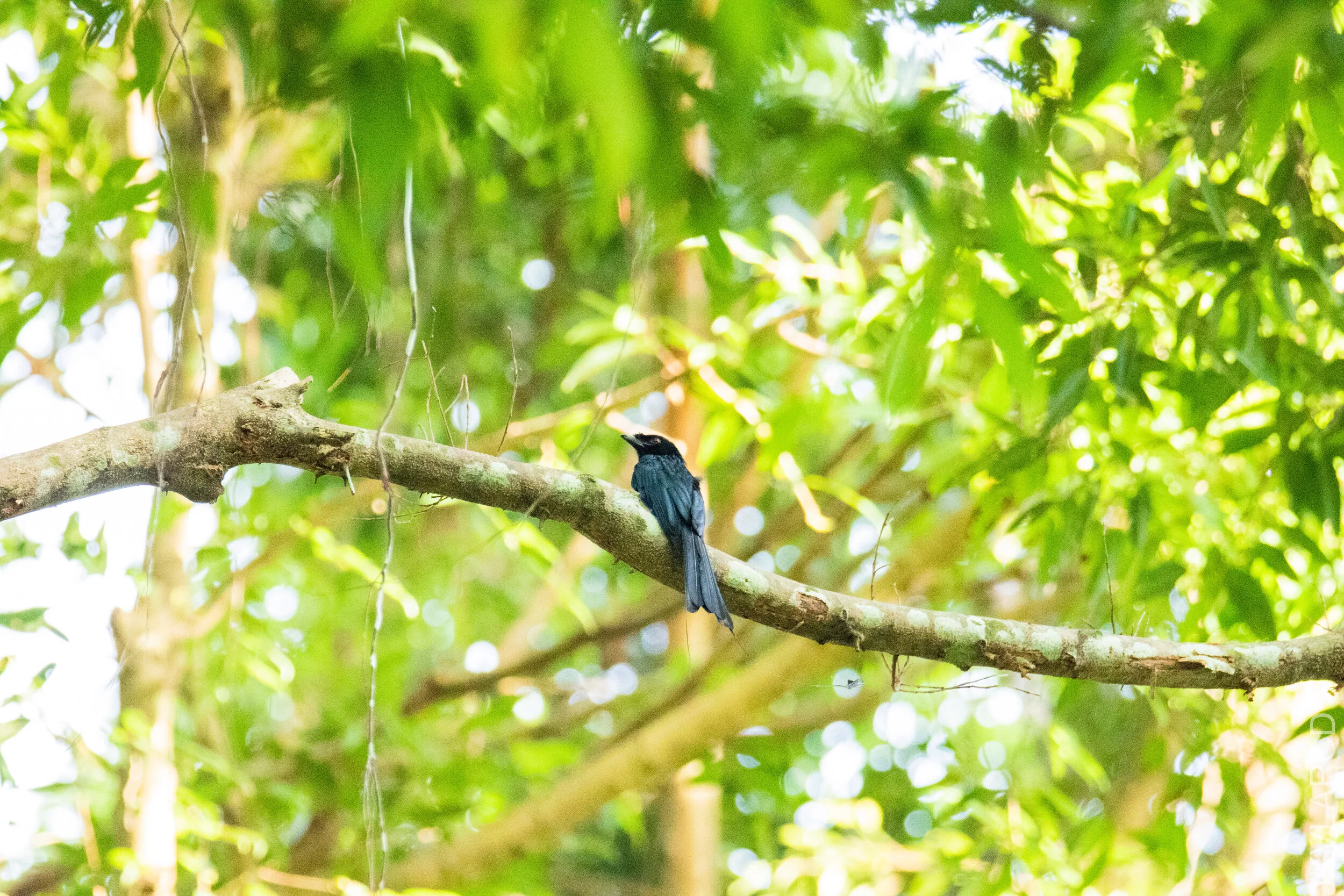 EOS 7D Mark II_2021_03_07_4030.jpg