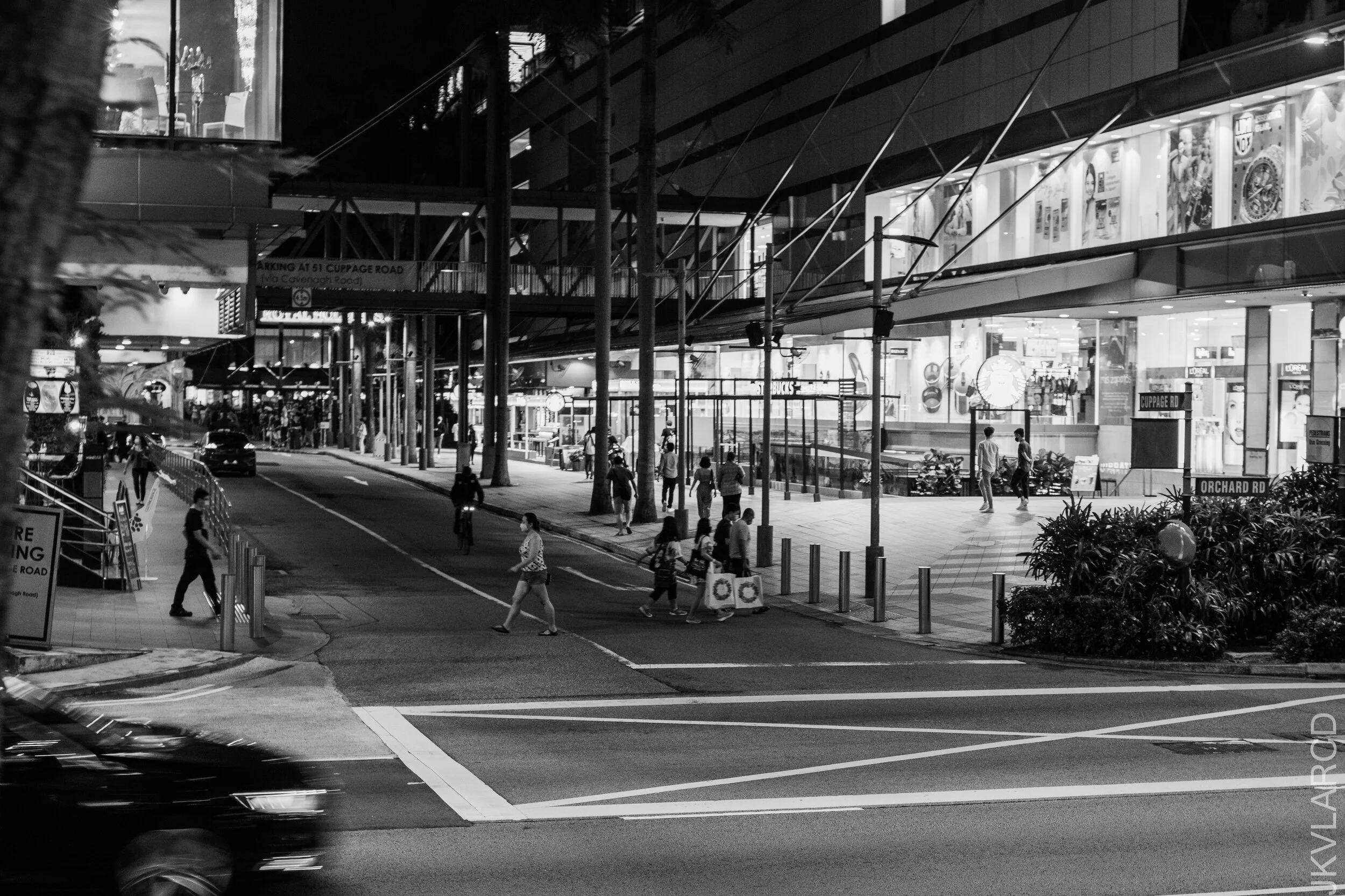 EOS 7D Mark II_2021_03_13_4354.jpg