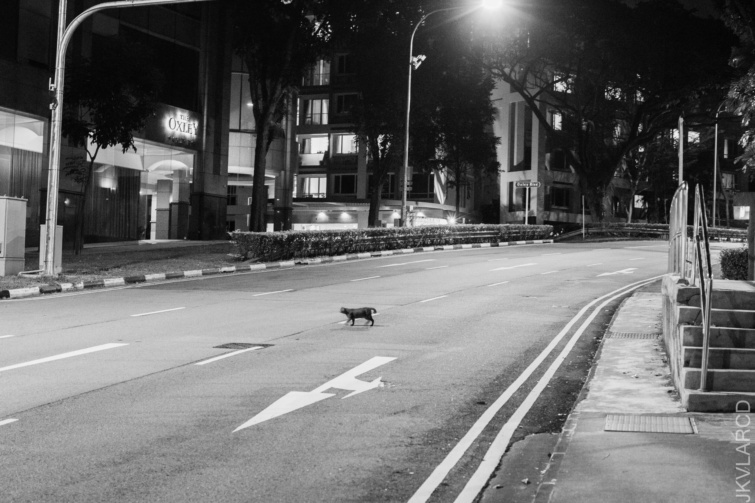 EOS 7D Mark II_2021_03_13_4370.jpg