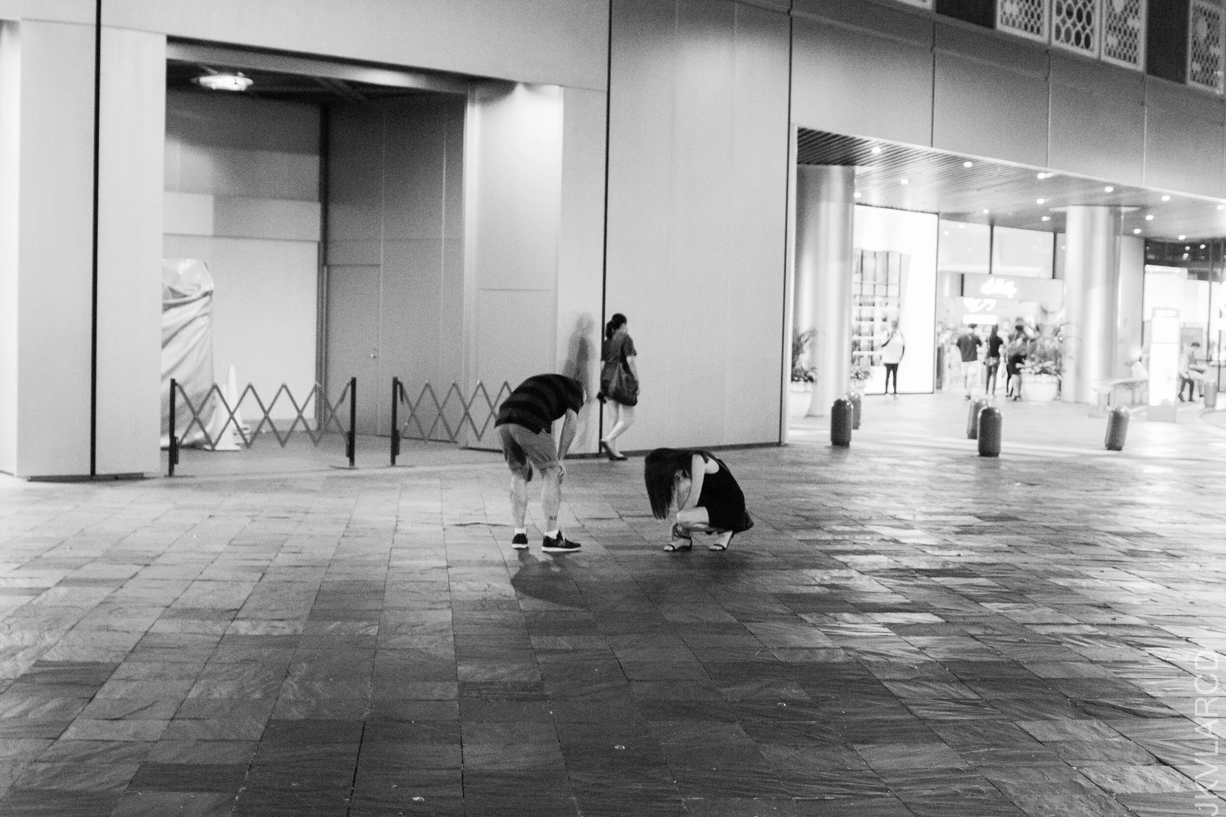 EOS 7D Mark II_2021_03_13_4429.jpg