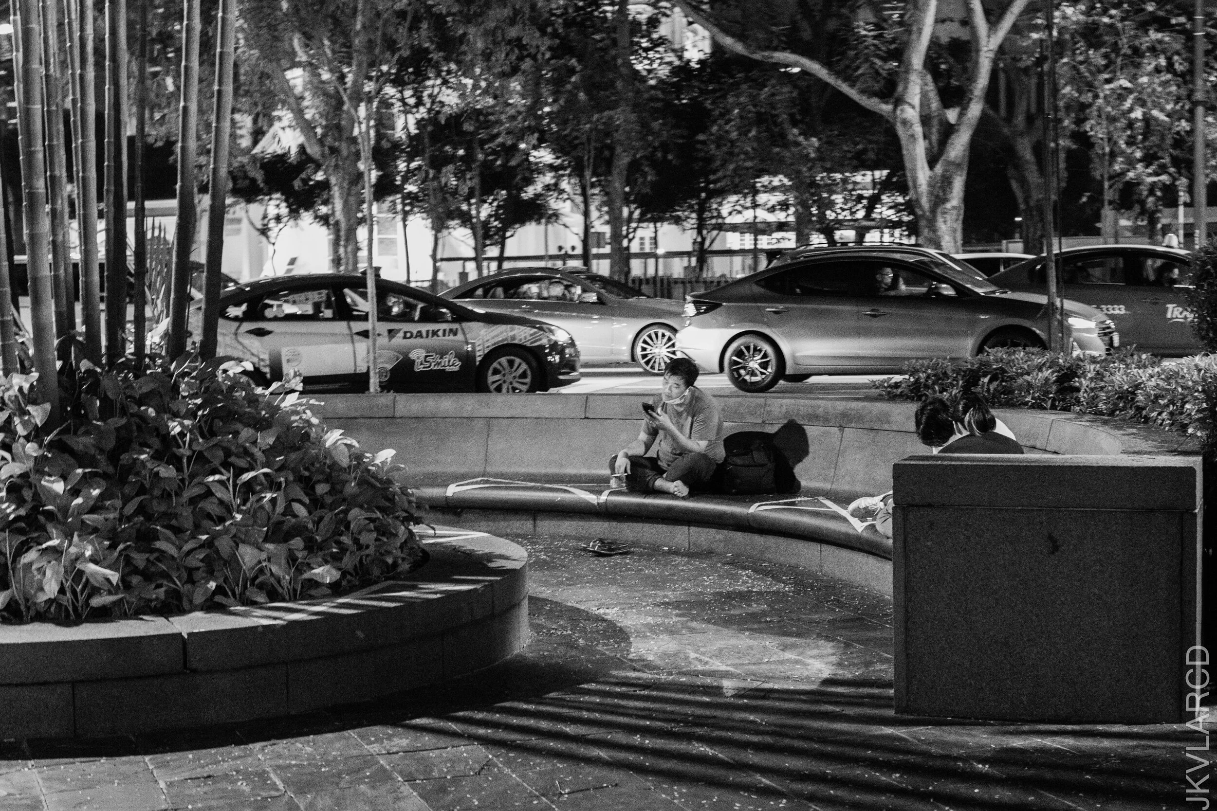 EOS 7D Mark II_2021_03_13_4430.jpg