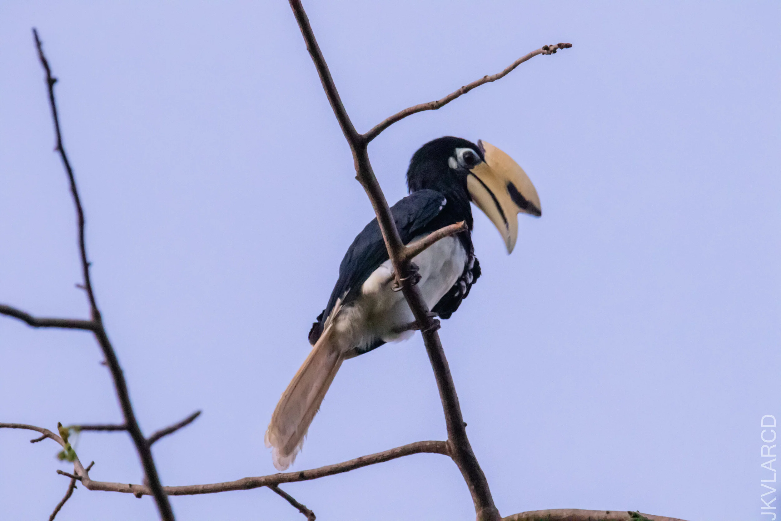 EOS 7D Mark II_2021_03_20_4443.jpg