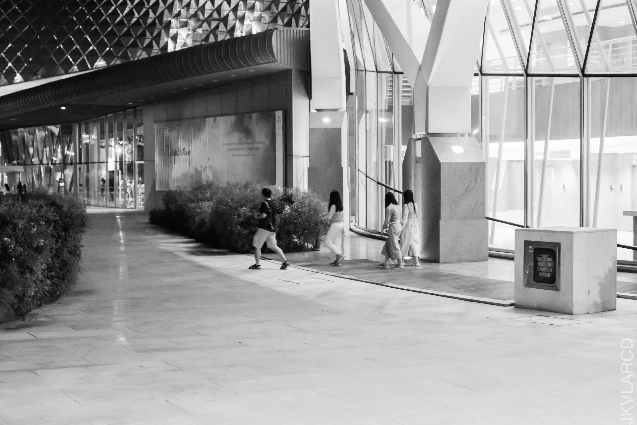 EOS 7D Mark II_2021_03_27_4856.jpg