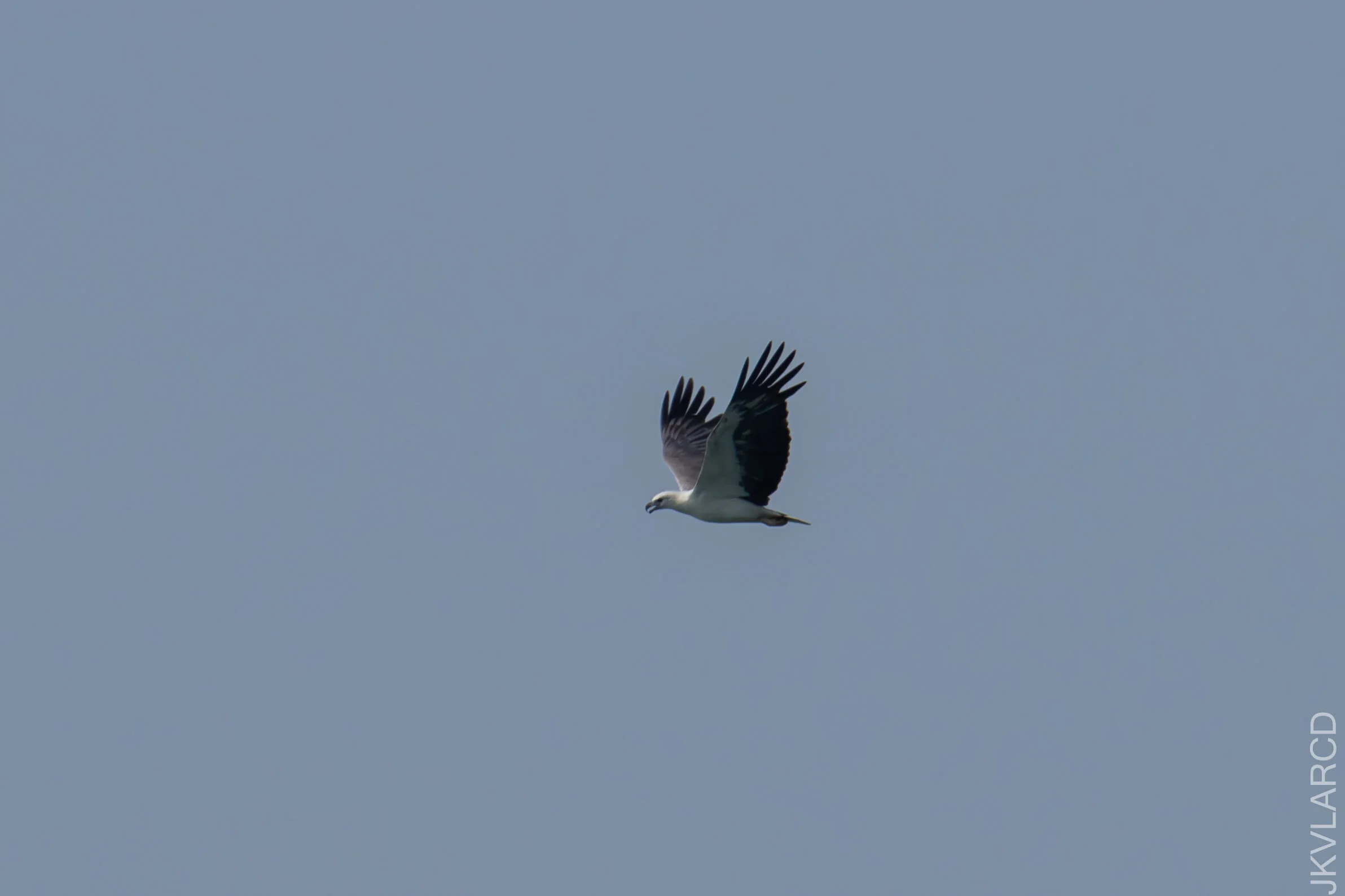 EOS 7D Mark II_2021_04_11_5145.jpg