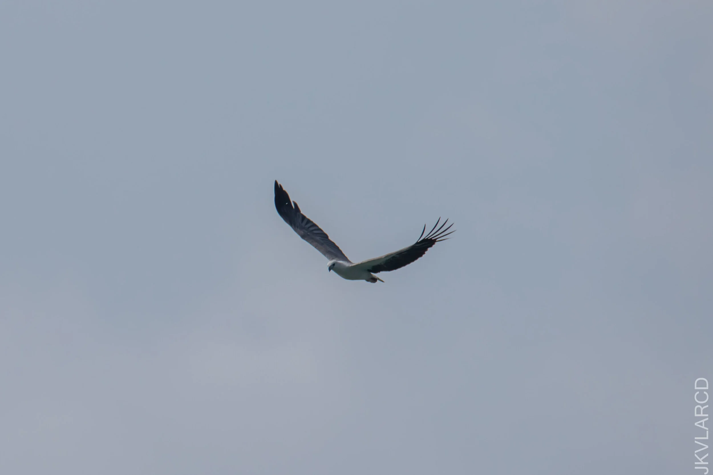 EOS 7D Mark II_2021_04_11_5205.jpg