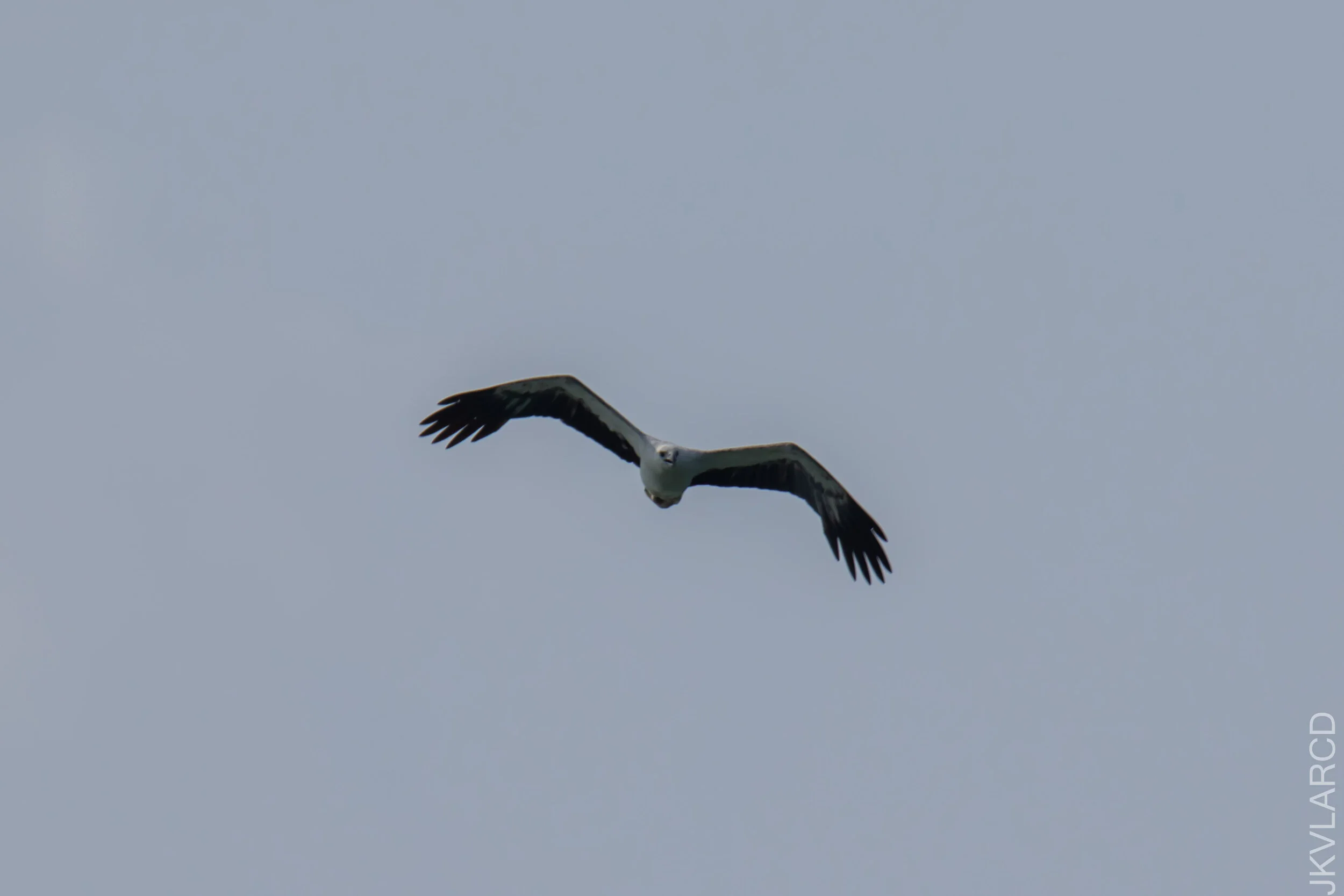 EOS 7D Mark II_2021_04_11_5214.jpg