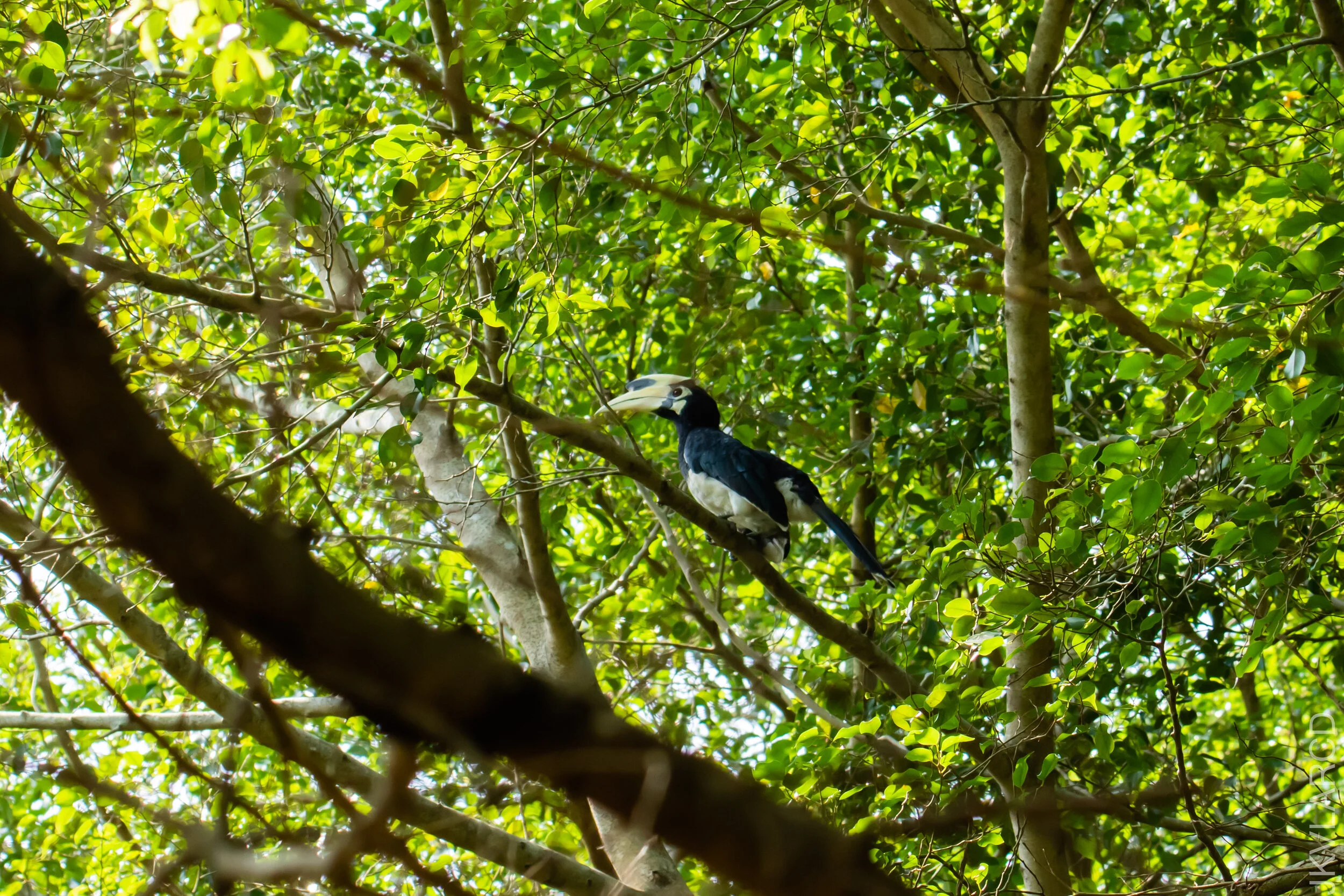 EOS 7D Mark II_2021_04_11_5335.jpg
