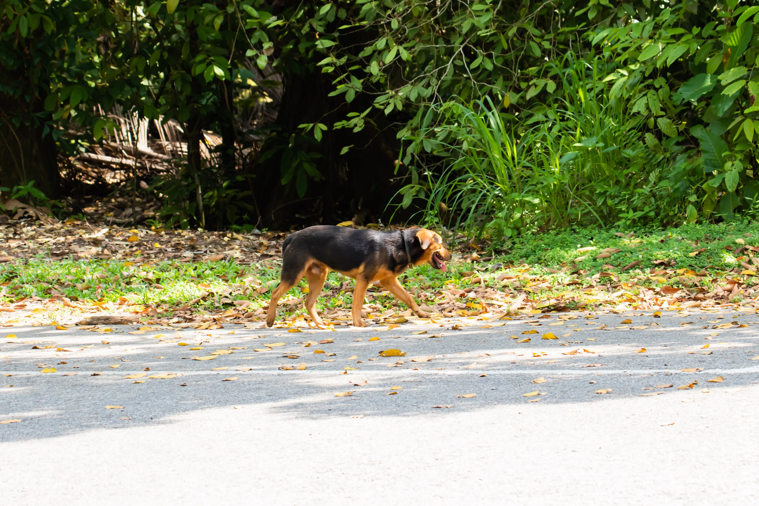 EOS 7D Mark II_2021_04_11_5346.jpg