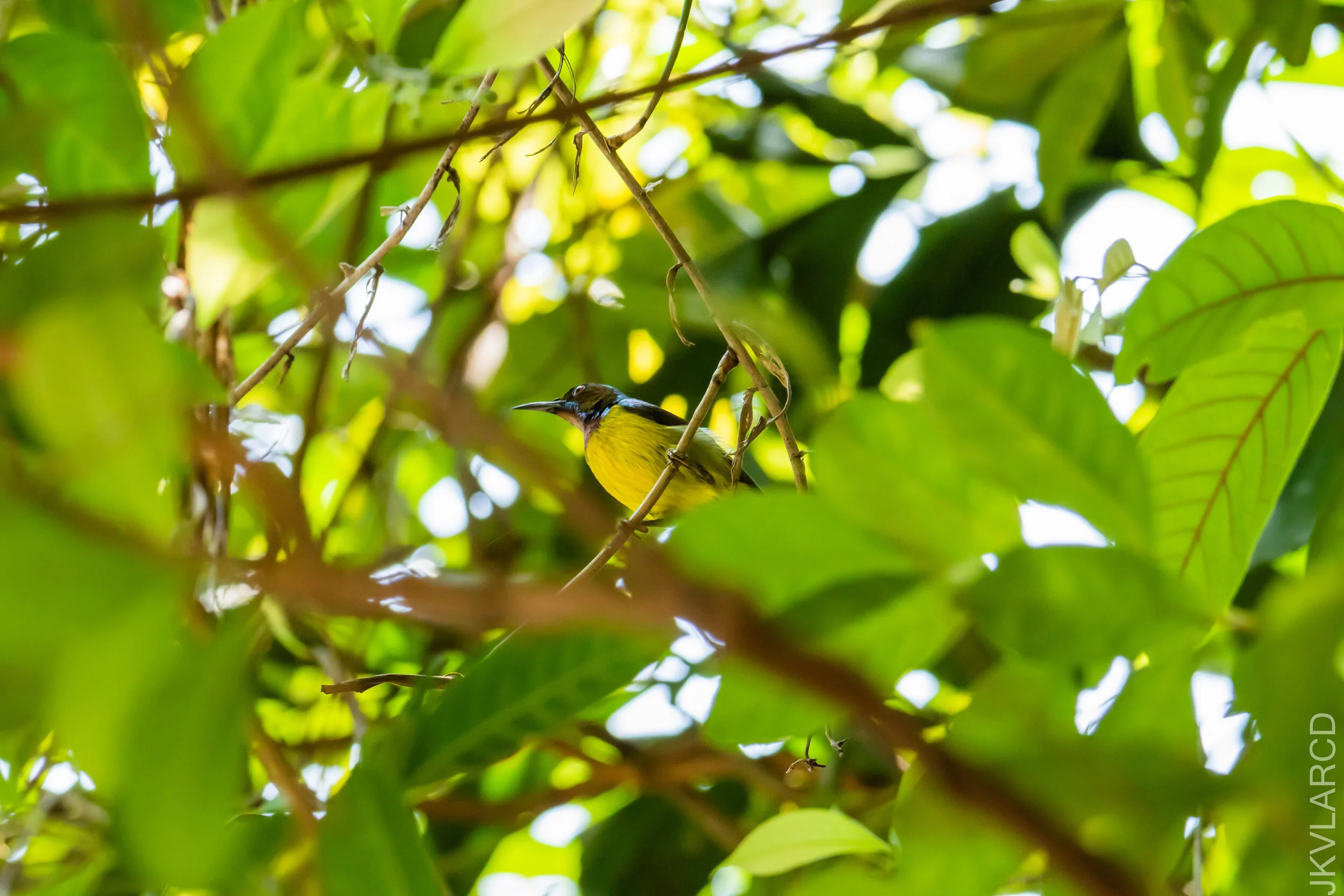 EOS 7D Mark II_2021_04_11_5402.jpg