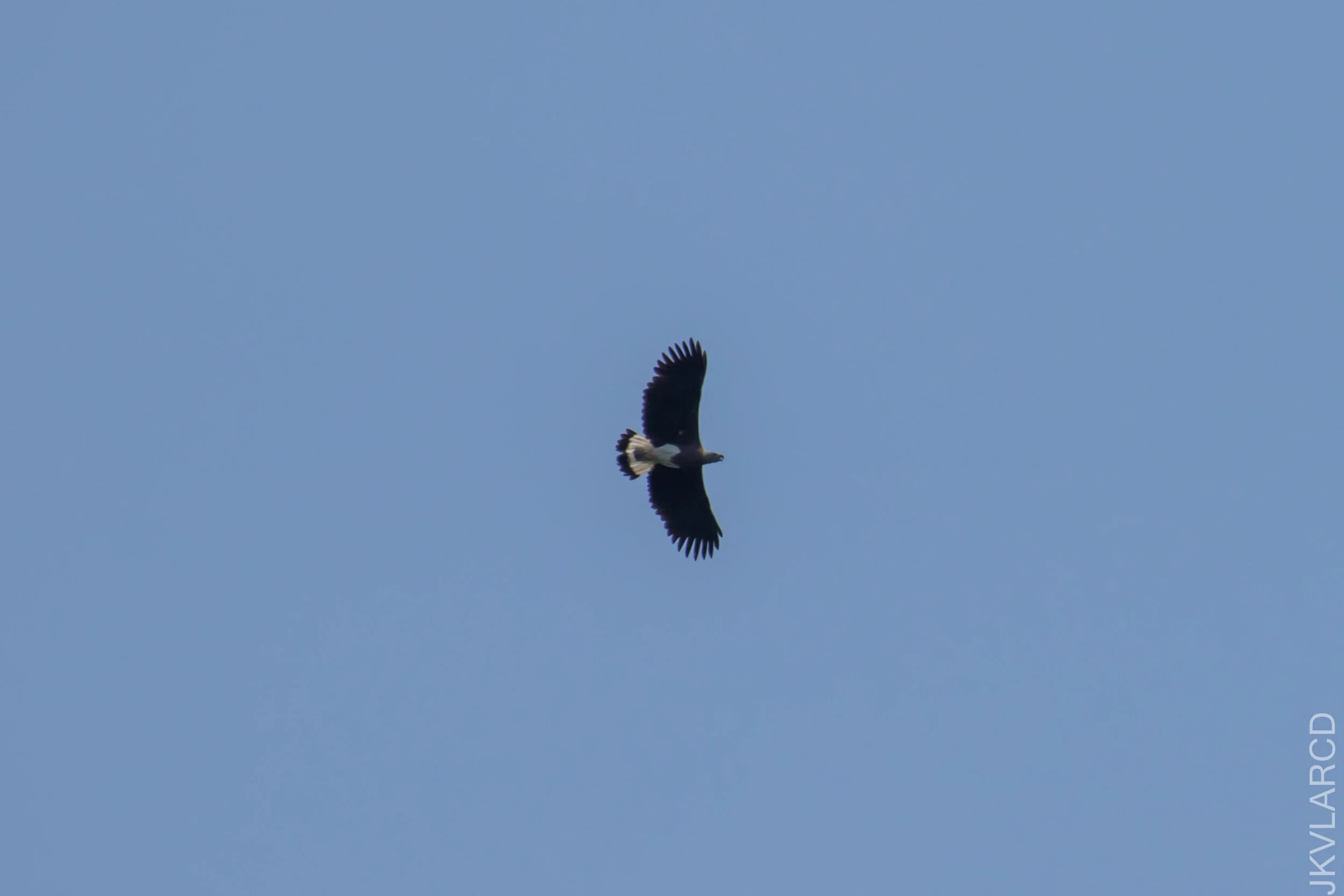 EOS 7D Mark II_2021_04_11_5432.jpg