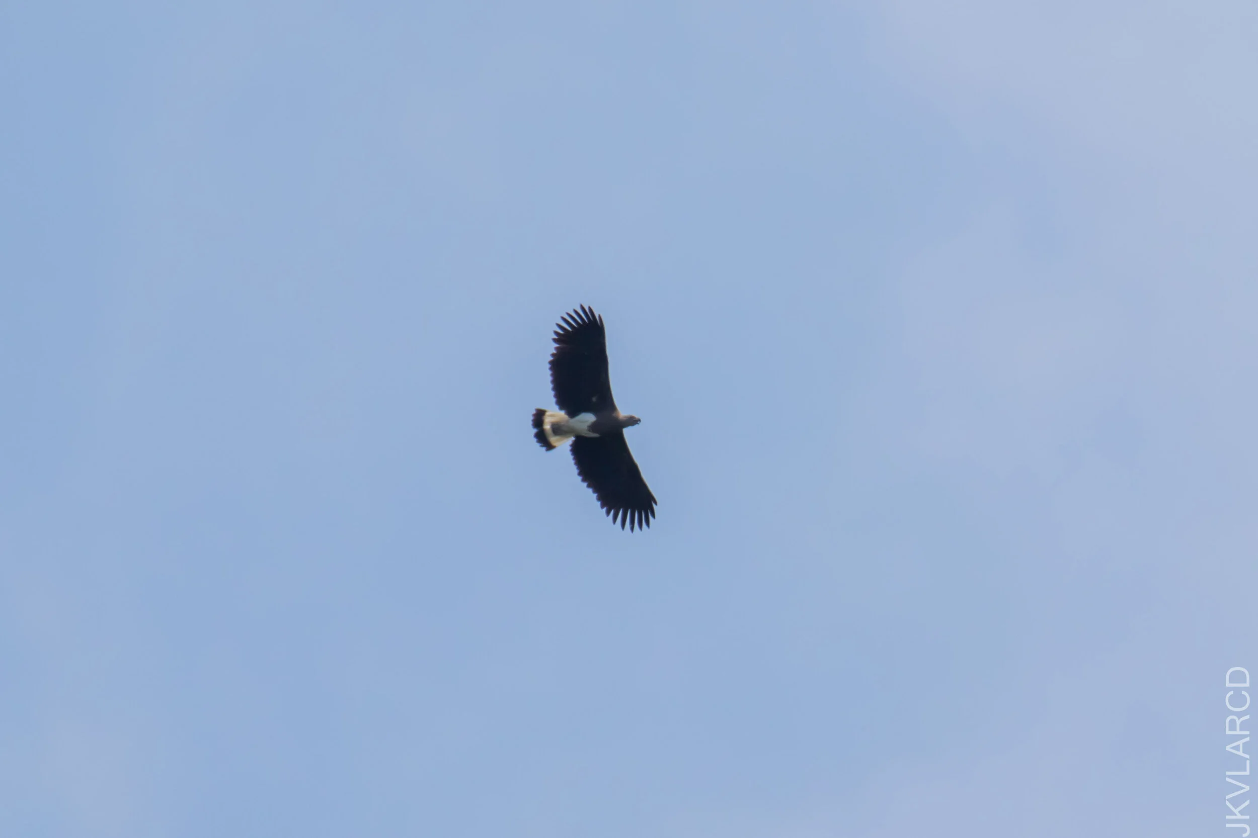EOS 7D Mark II_2021_04_11_5450.jpg
