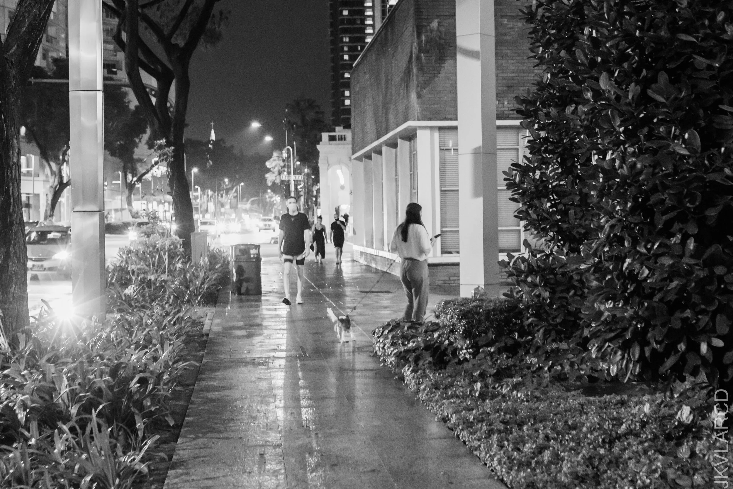 EOS 7D Mark II_2021_04_17_5618.jpg