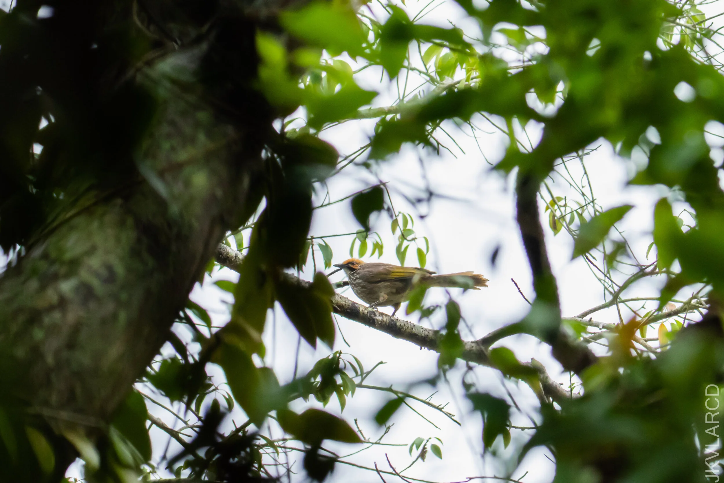 EOS 7D Mark II_2021_04_18_5742.jpg