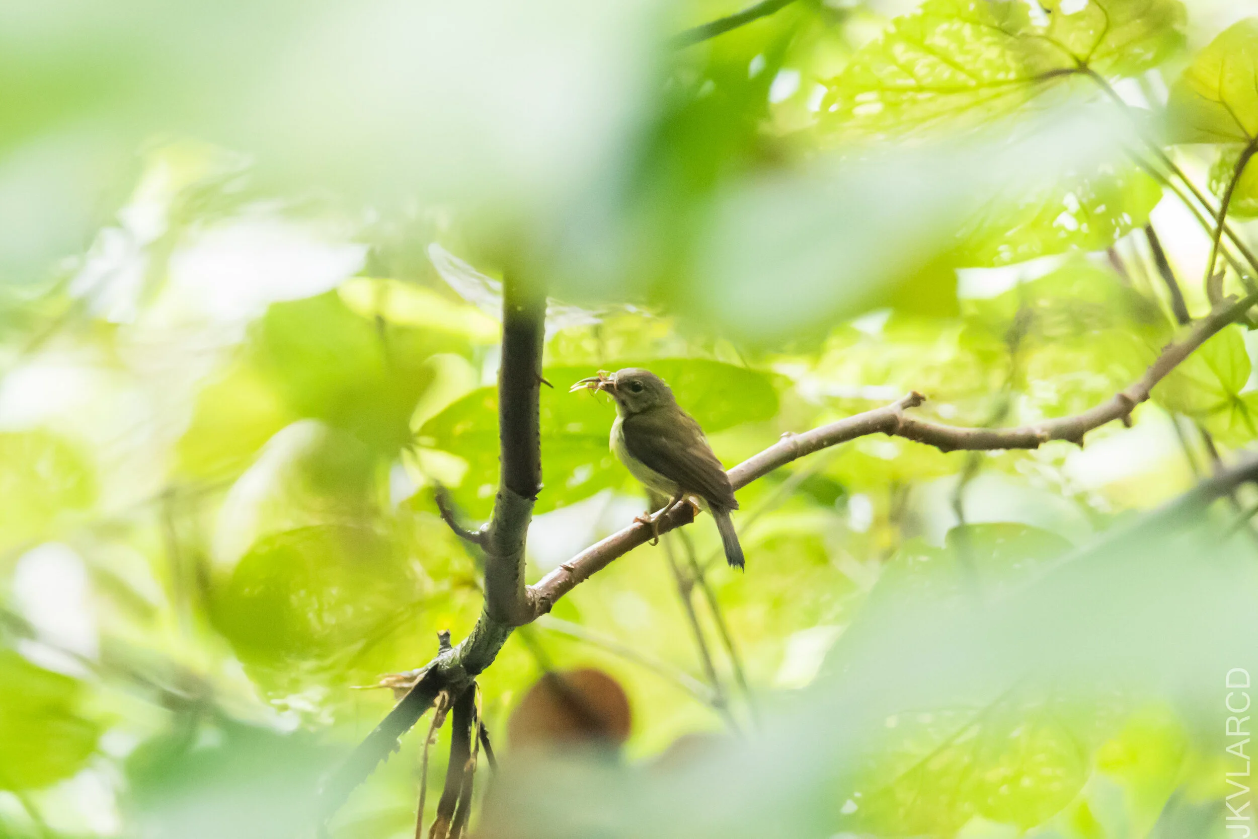 EOS 7D Mark II_2021_04_18_5754.jpg