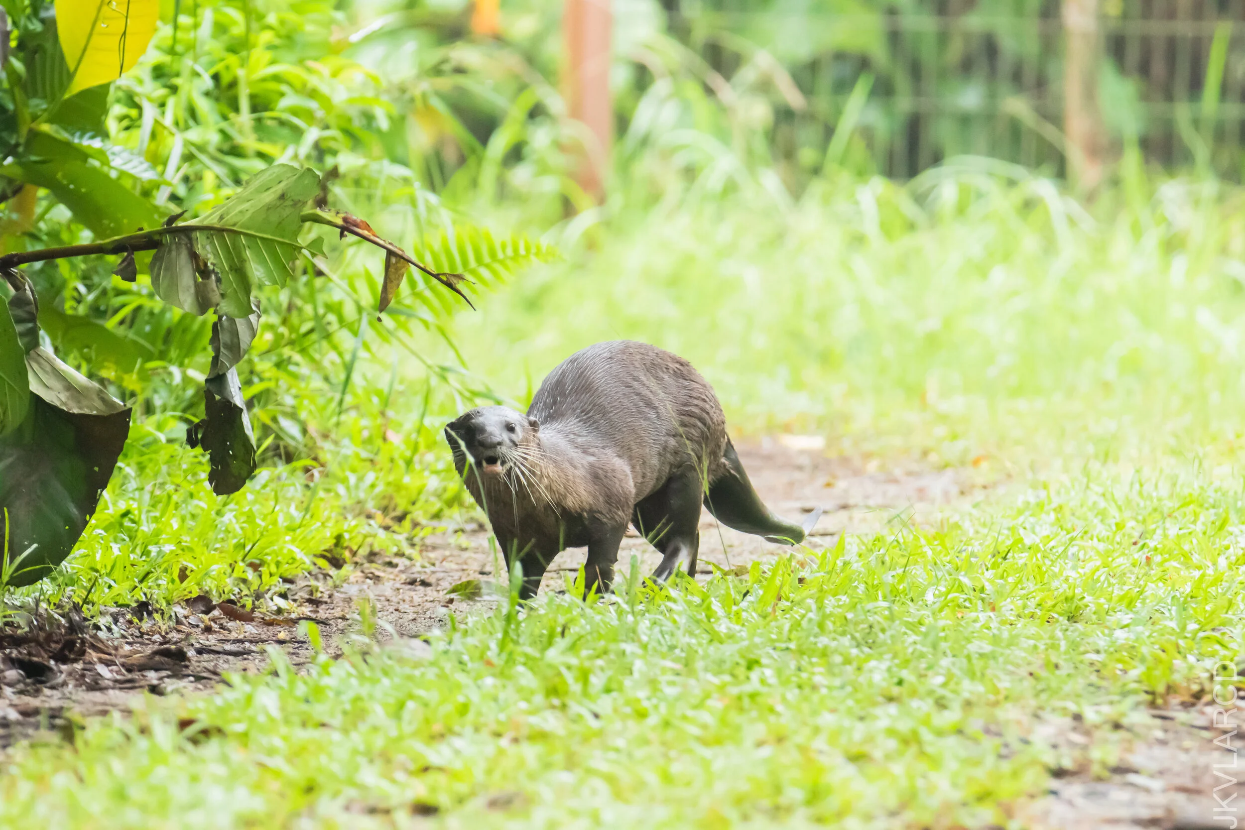 EOS 7D Mark II_2021_04_18_5769.jpg